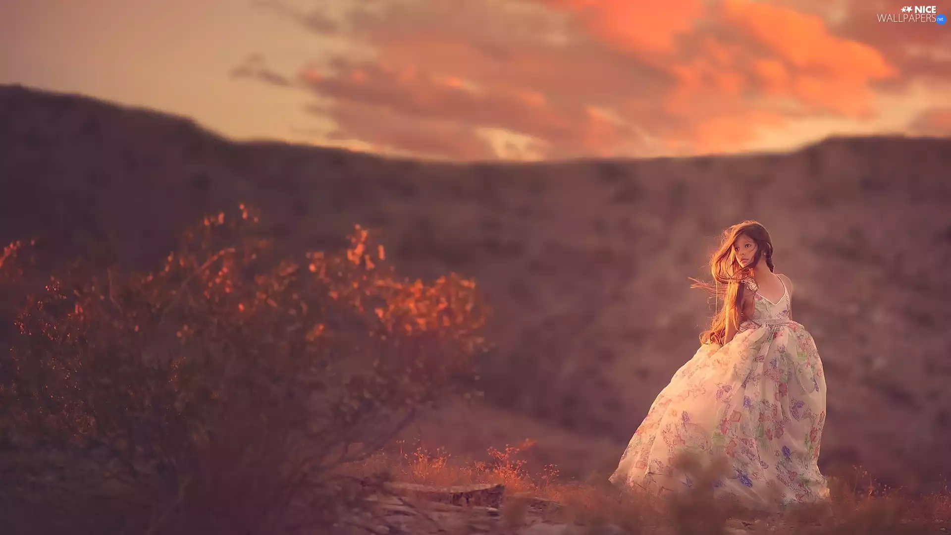 Bush, girl, Great Sunsets