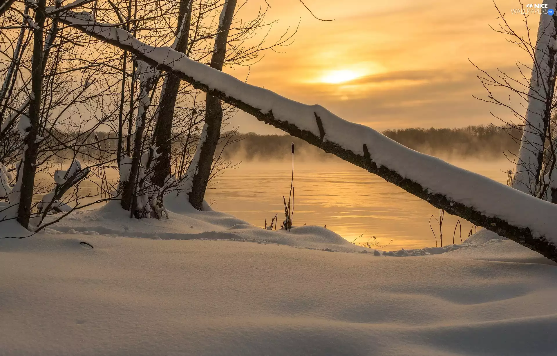 viewes, lake, Fog, trees, winter, snow, Great Sunsets