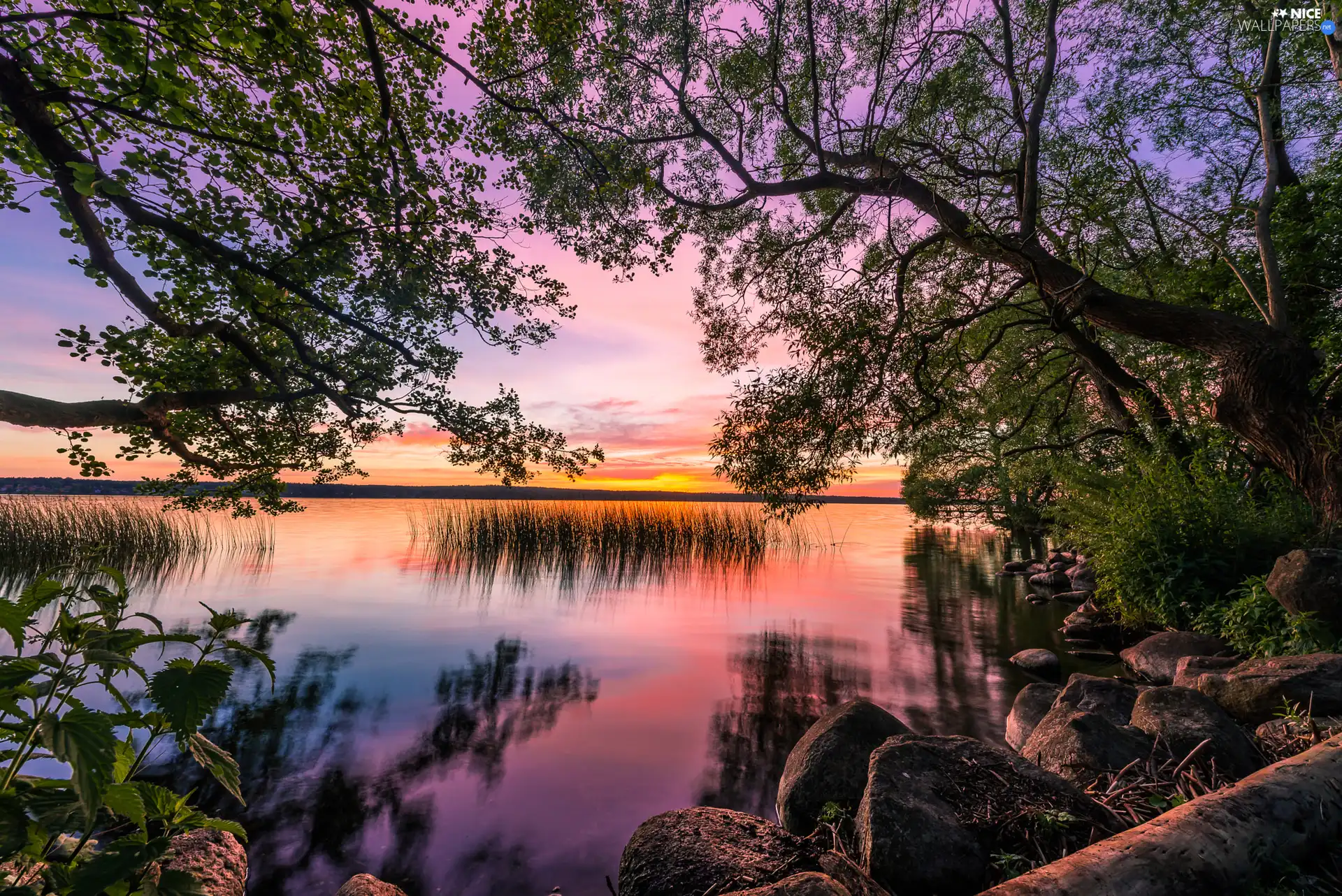 viewes, lake, Great Sunsets, reflection, Stones, trees