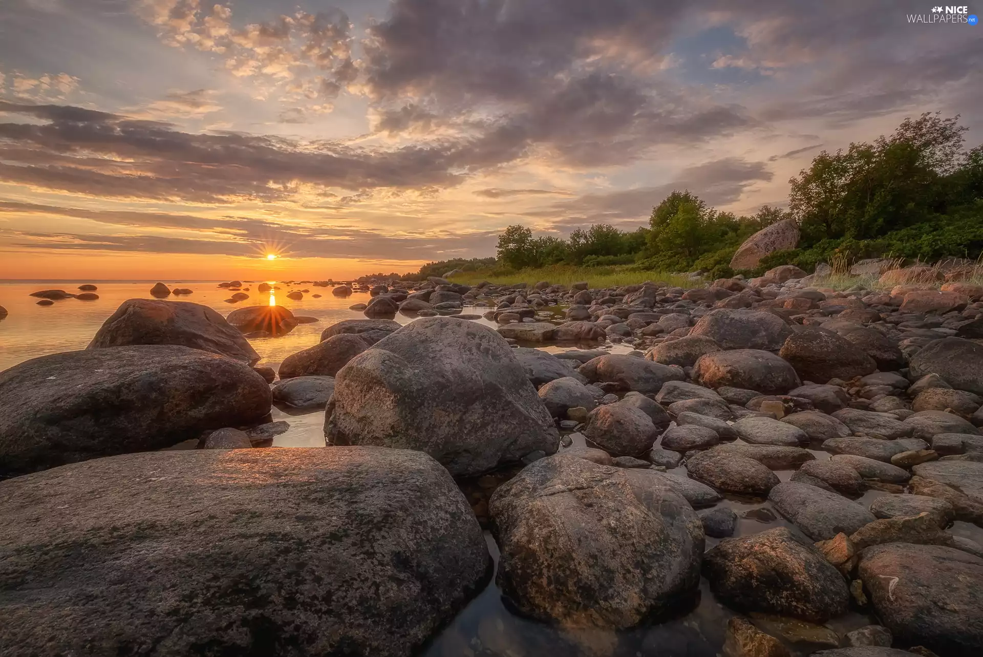 trees, sea, Great Sunsets, clouds, viewes, Stones