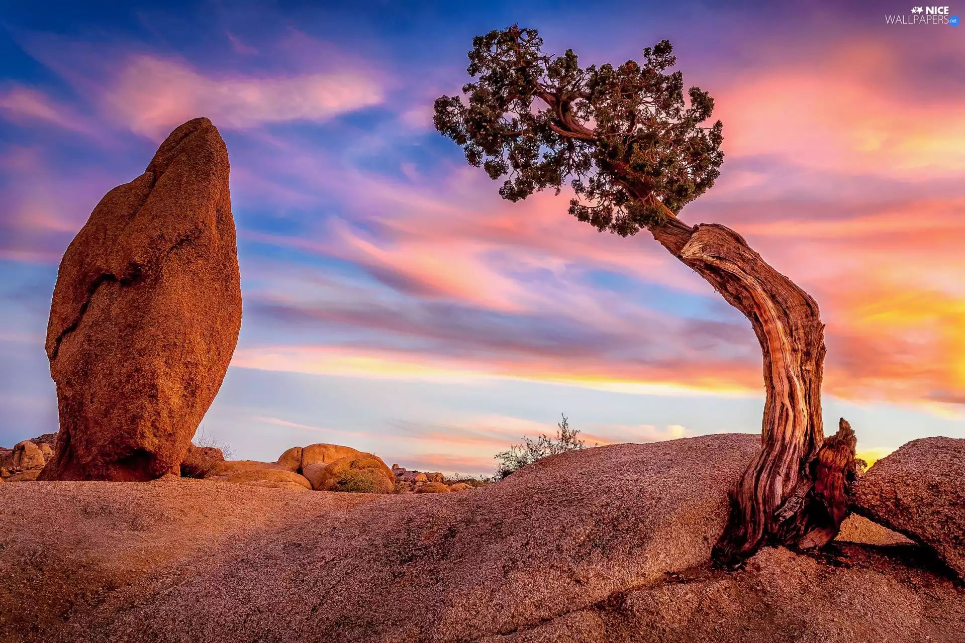 Joshua Tree National Park, The United States, trees, Great Sunsets, rocks, California