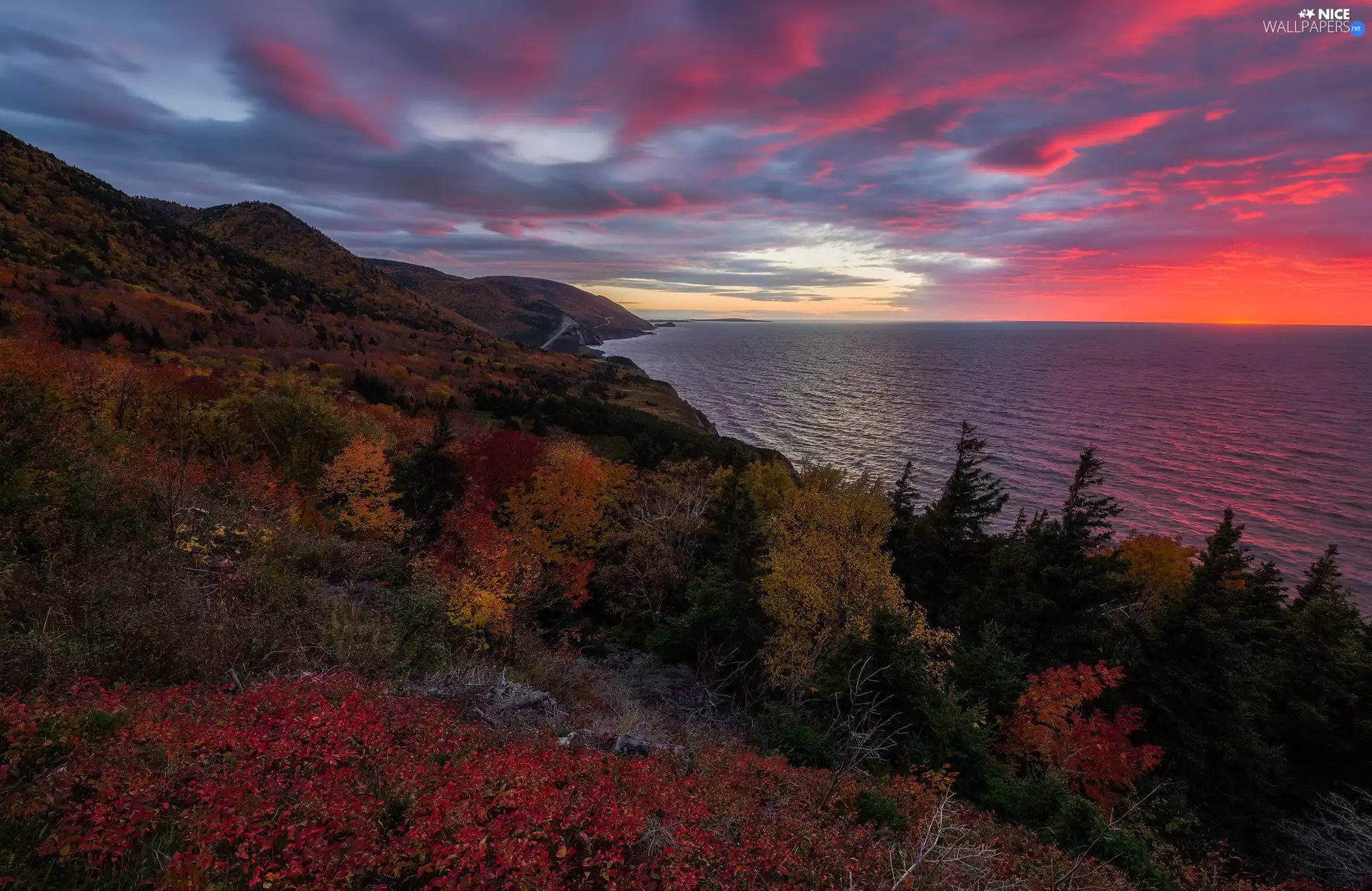 Cape Breton Highlands National Park, autumn, Great Sunsets, The Hills, viewes, Nova Scotia, Canada, trees