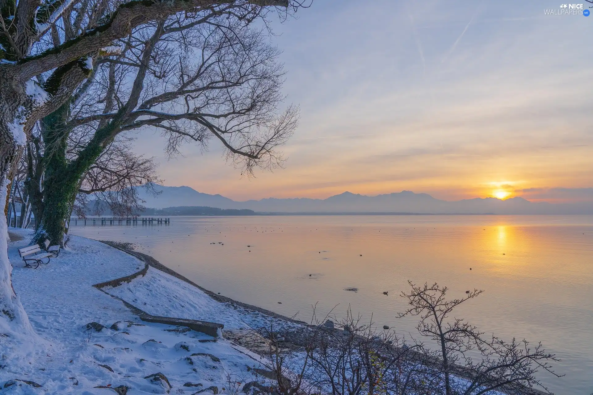 viewes, lake, snow, trees, winter, bench, Great Sunsets