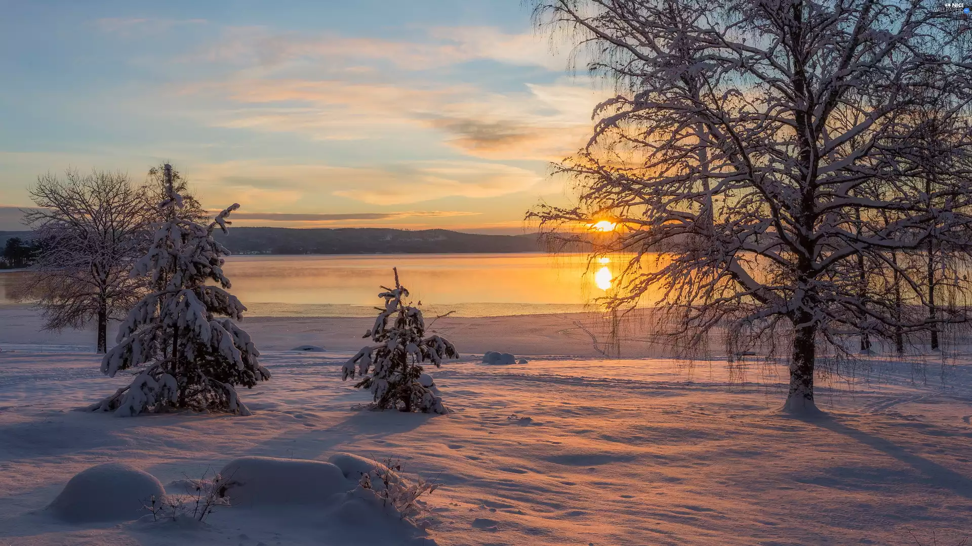 lake, trees, snow, viewes, winter, clouds, Great Sunsets