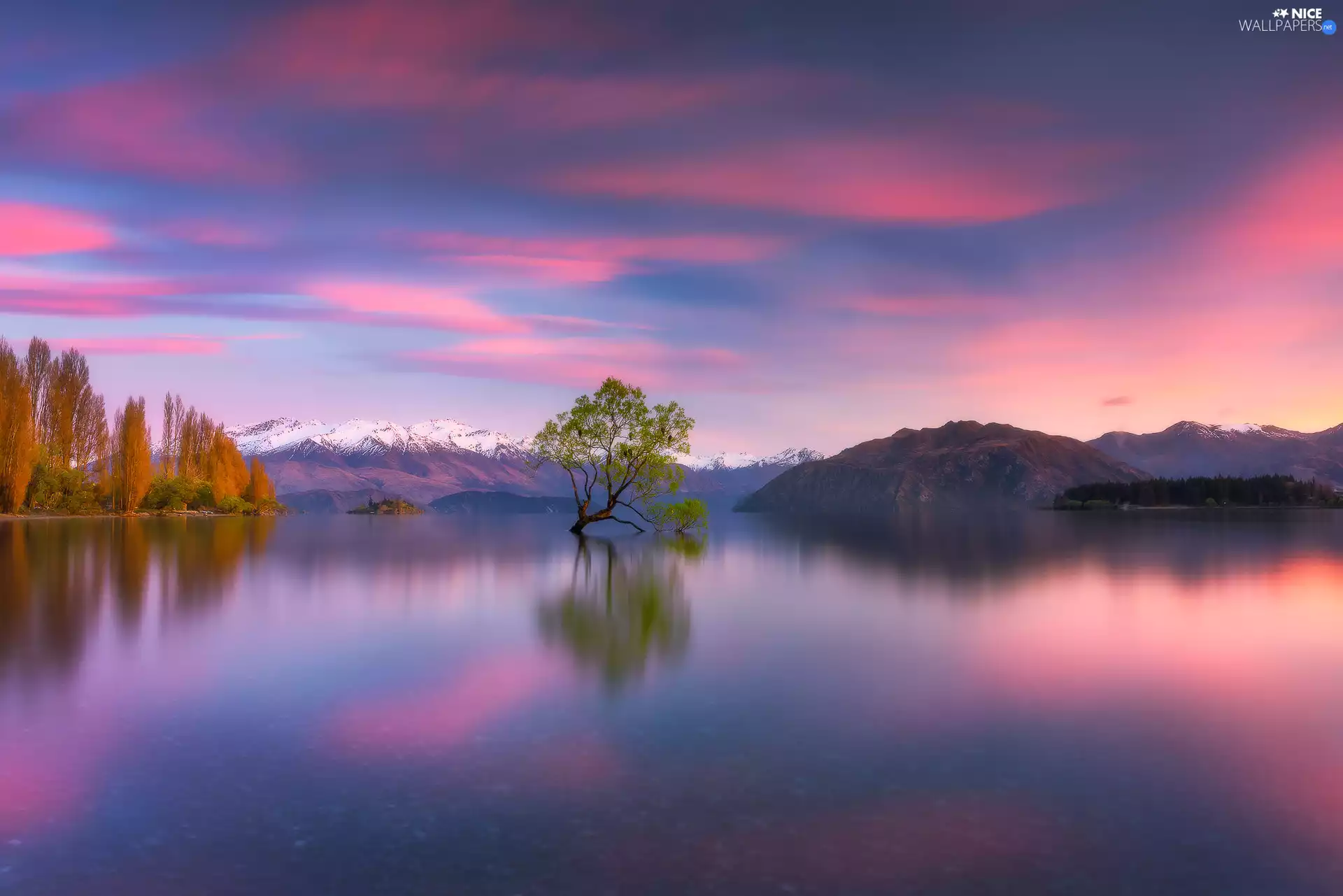 trees, Mountains, Wanaka Lake, New Zeland, Great Sunsets