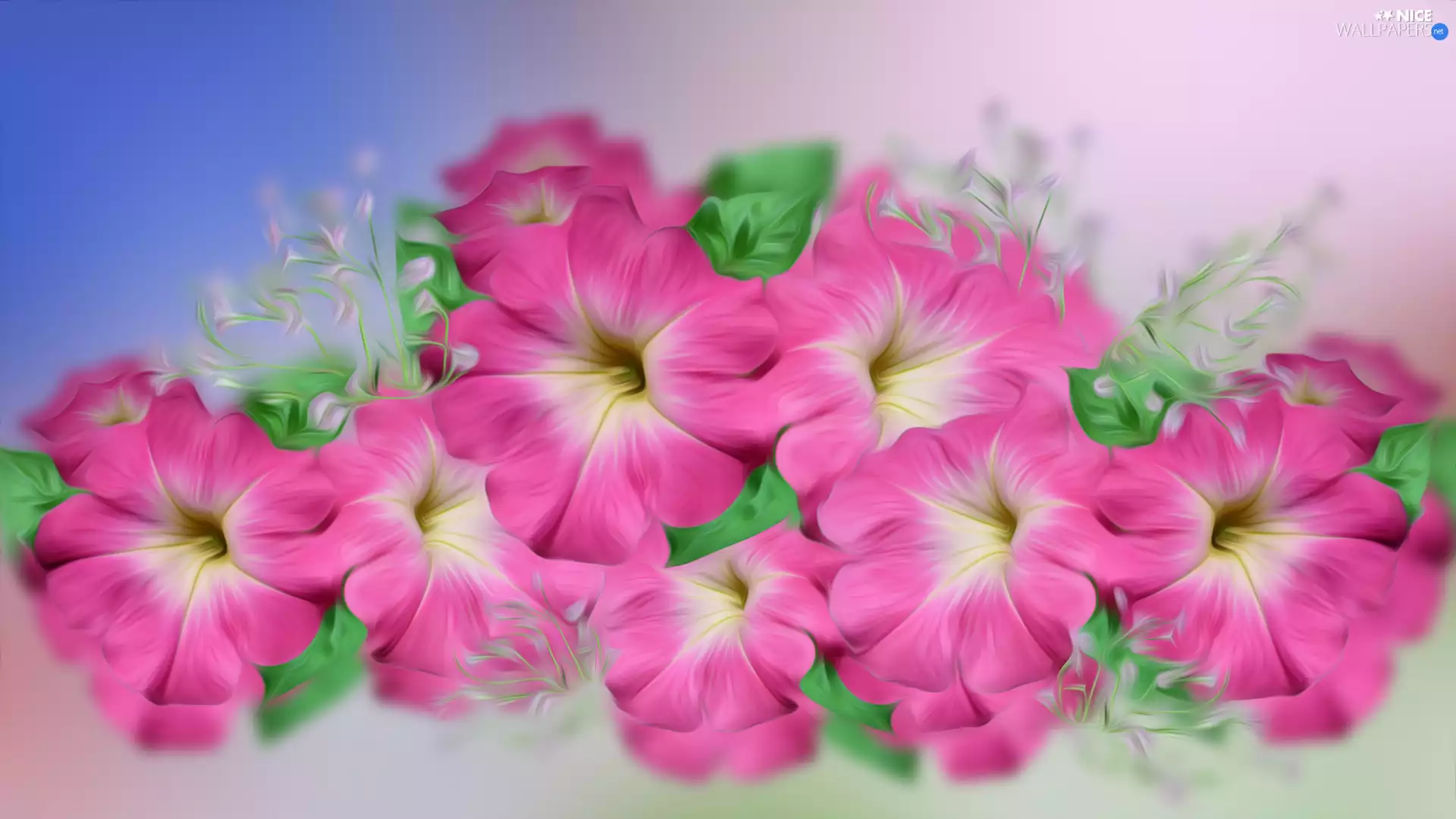 2D Graphics, Flowers, surfinia