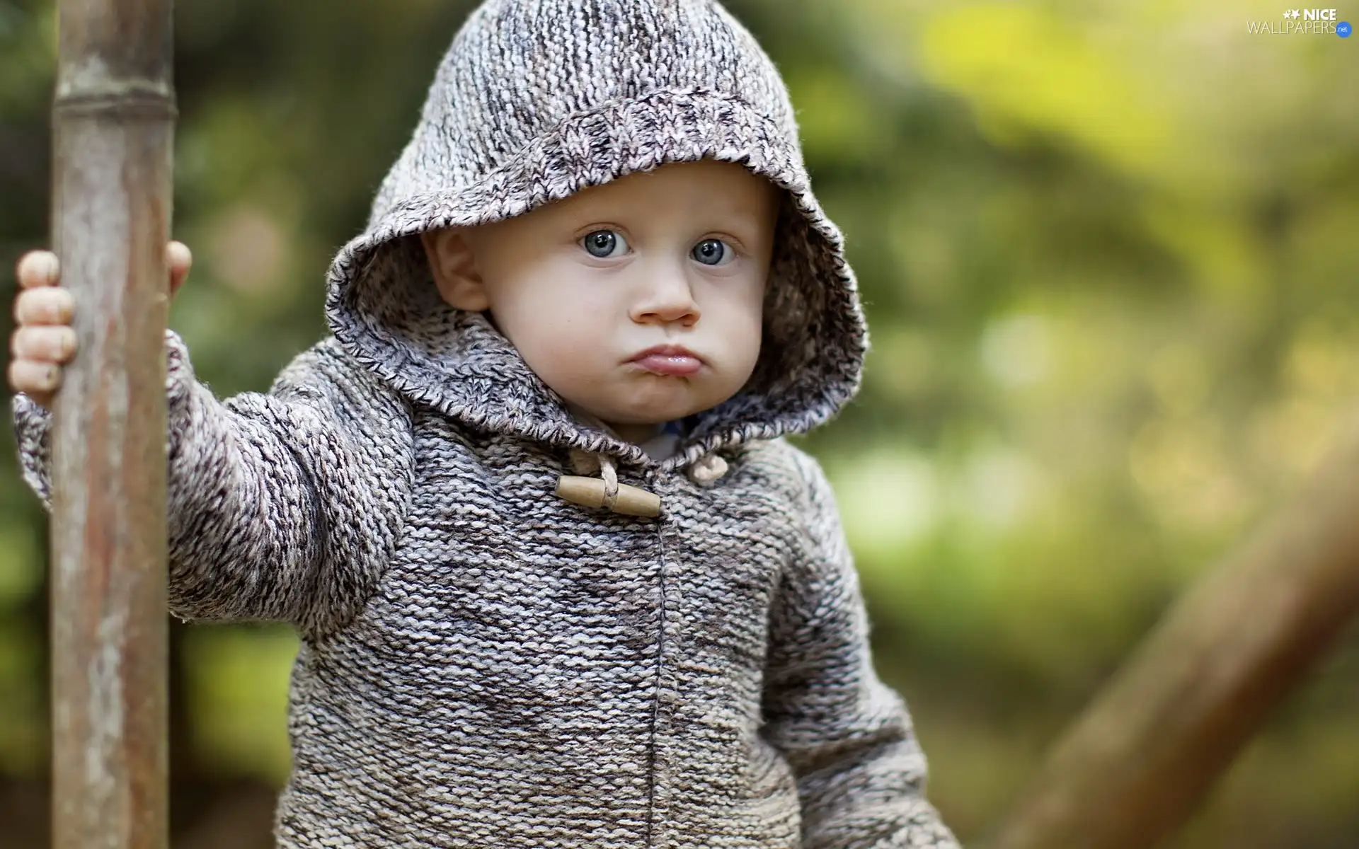 boy, Gray, sweater, grimace