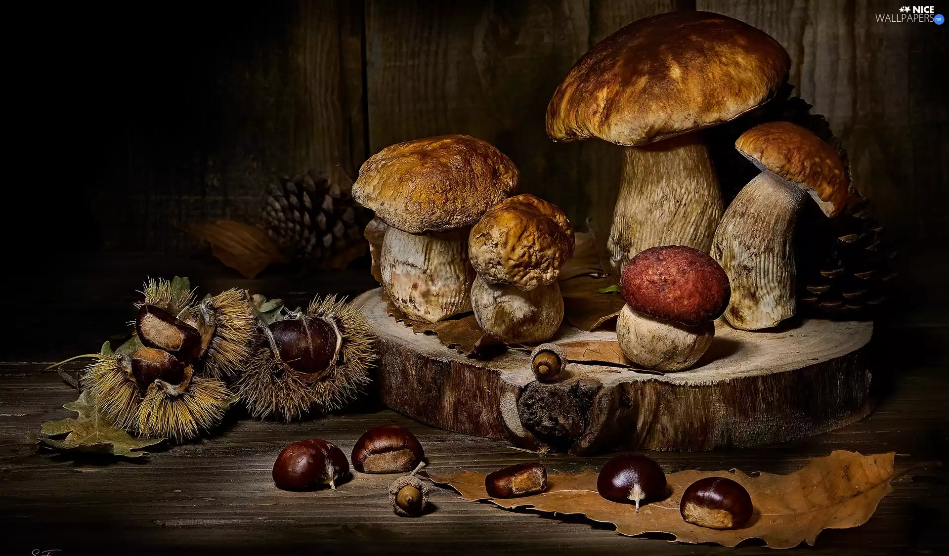 Leaf, composition, Porcini, Sweet Chestnuts, mushrooms