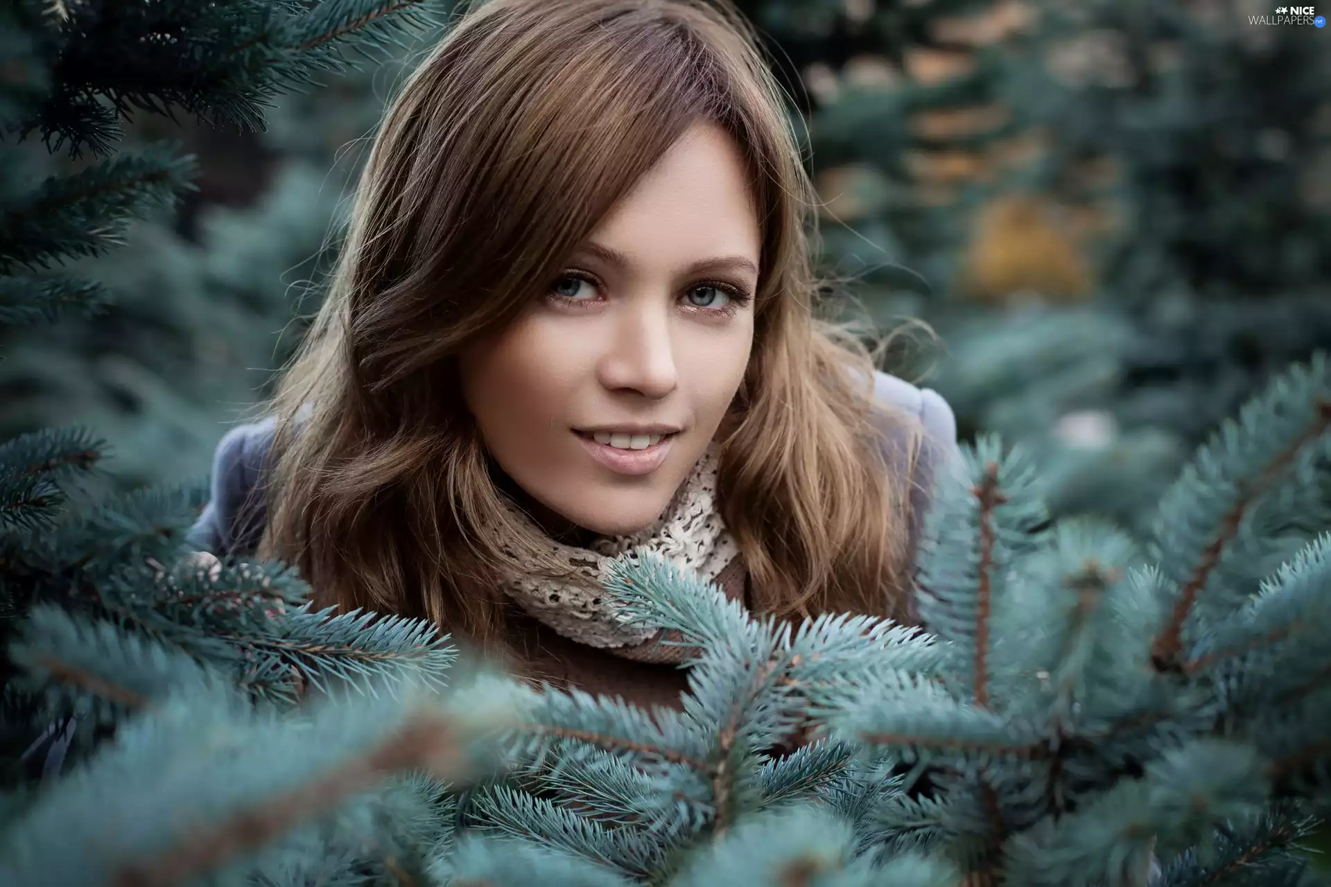 Swierk, Women, Twigs