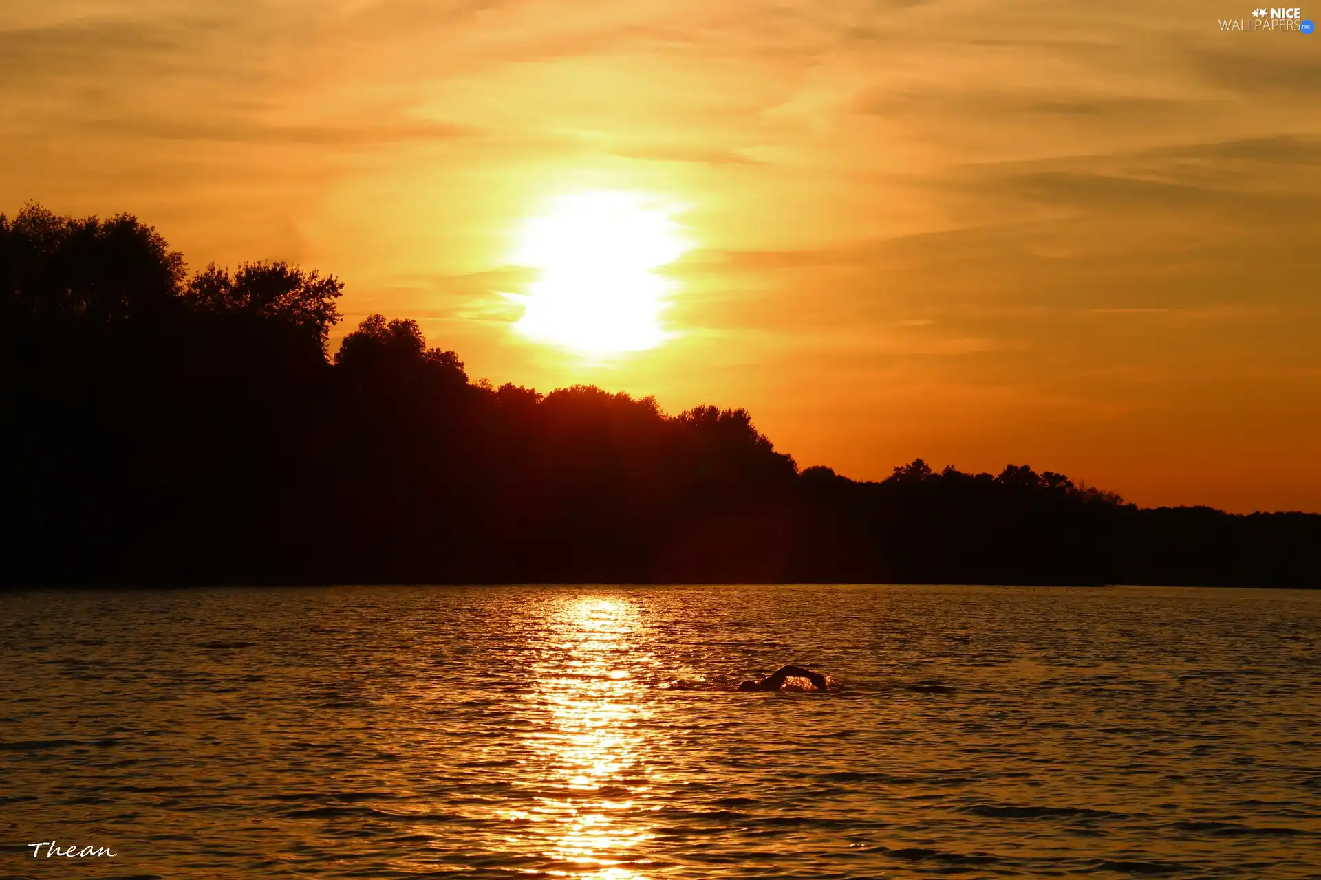 west, lake, swimmer, sun