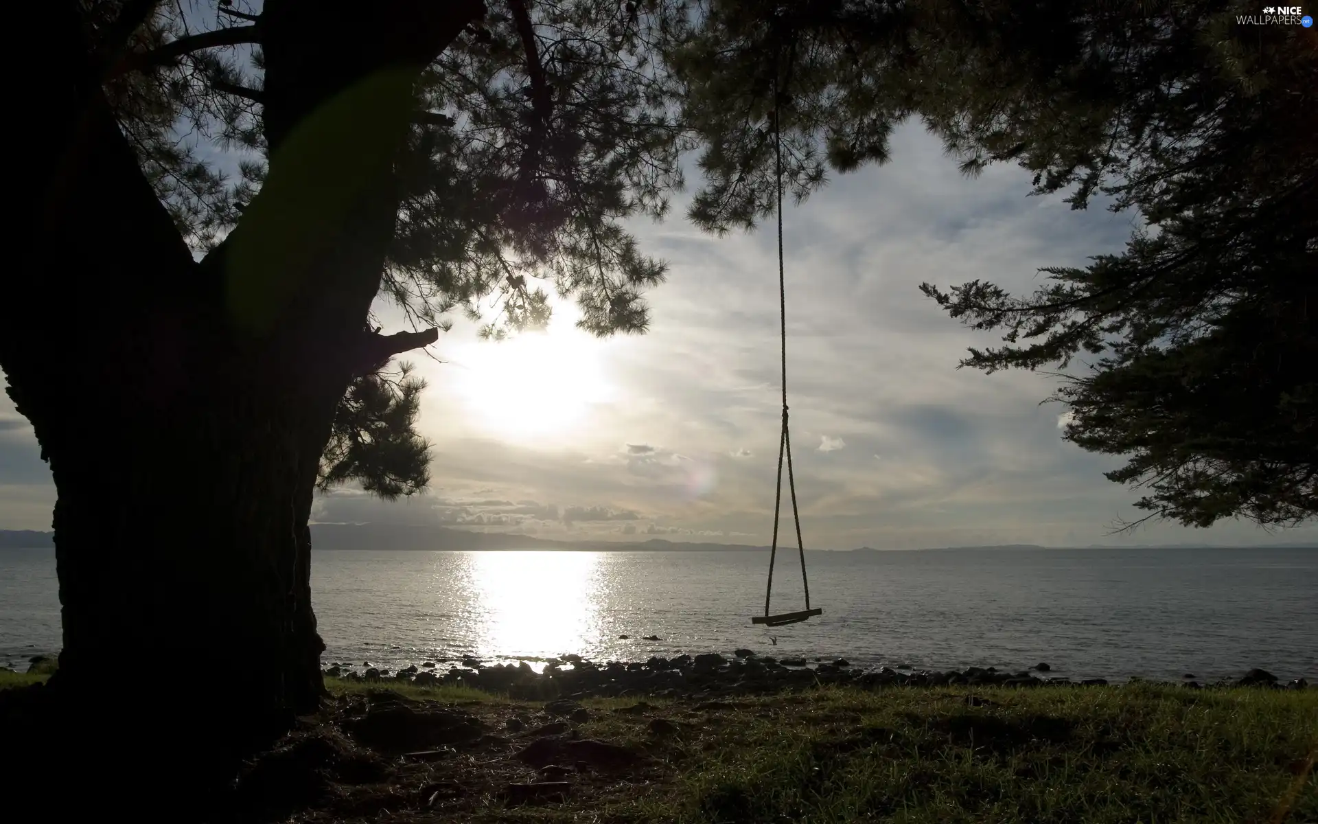 sea, trees, Swing, coast