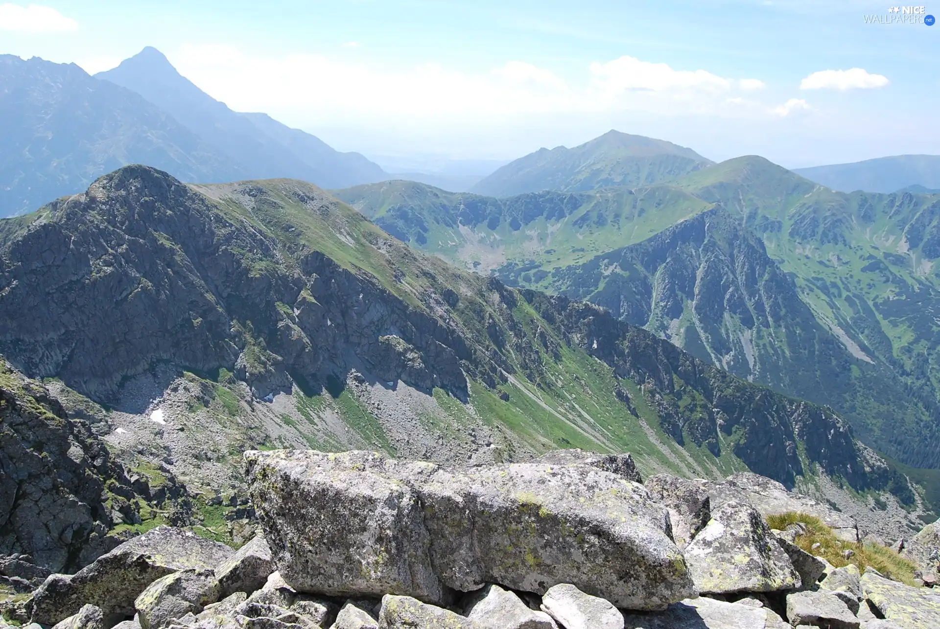 Tatras, Swinica