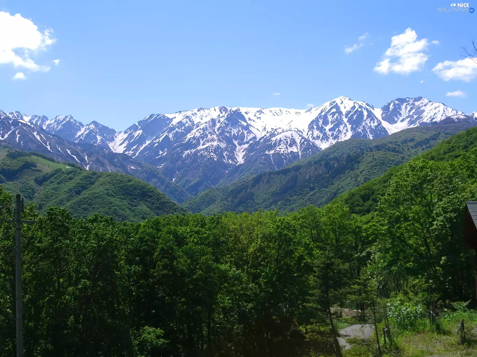 Alps, Mountains, woods, Switzerland