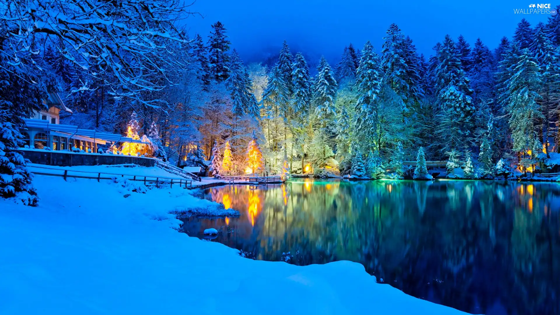 viewes, forest, Blausee Lake, trees, winter, snow, Switzerland