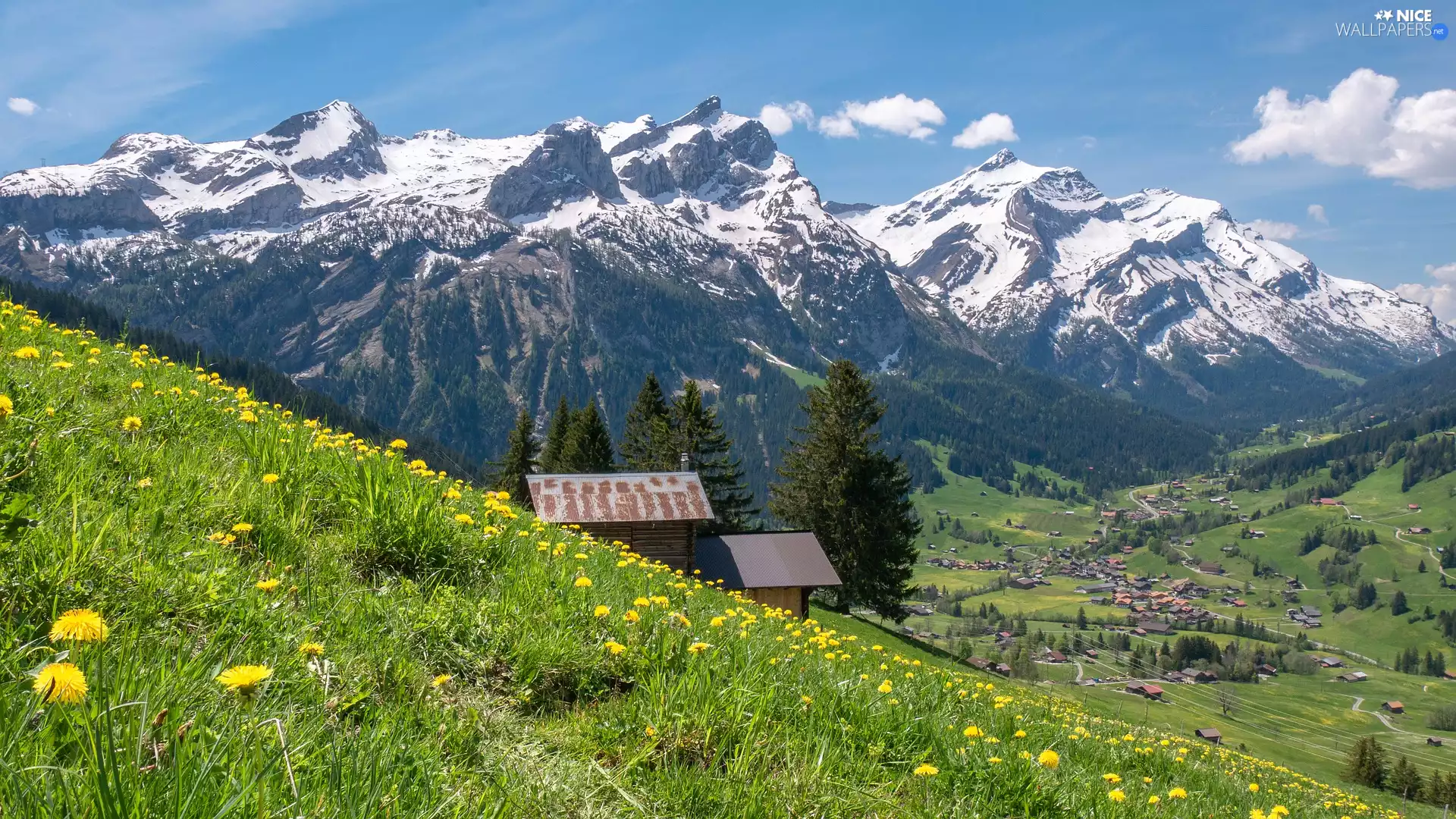 Meadow, Mountains, Houses, Switzerland, Valley, Bernese Alps