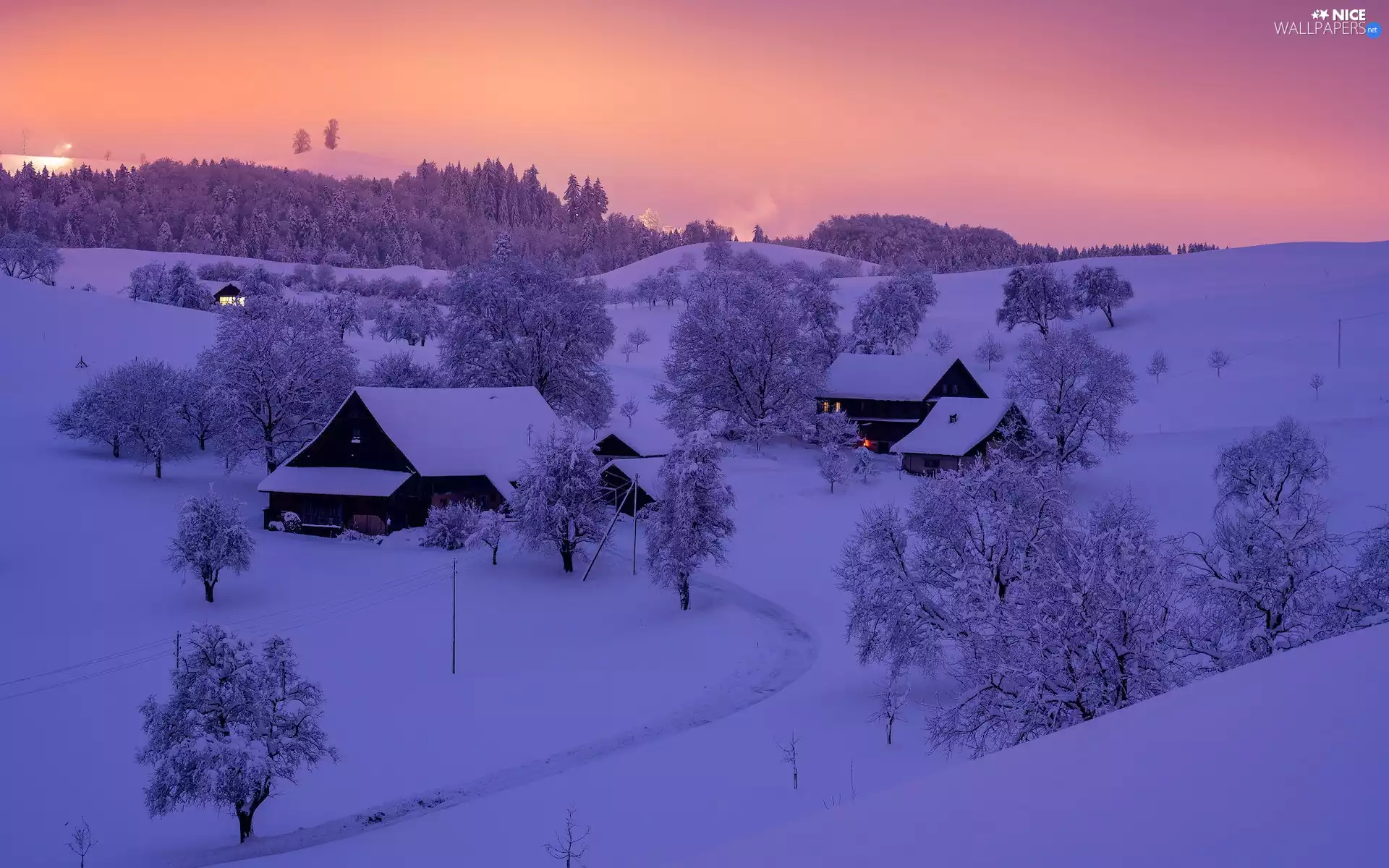 Houses, winter, viewes, Switzerland, trees, Mountains