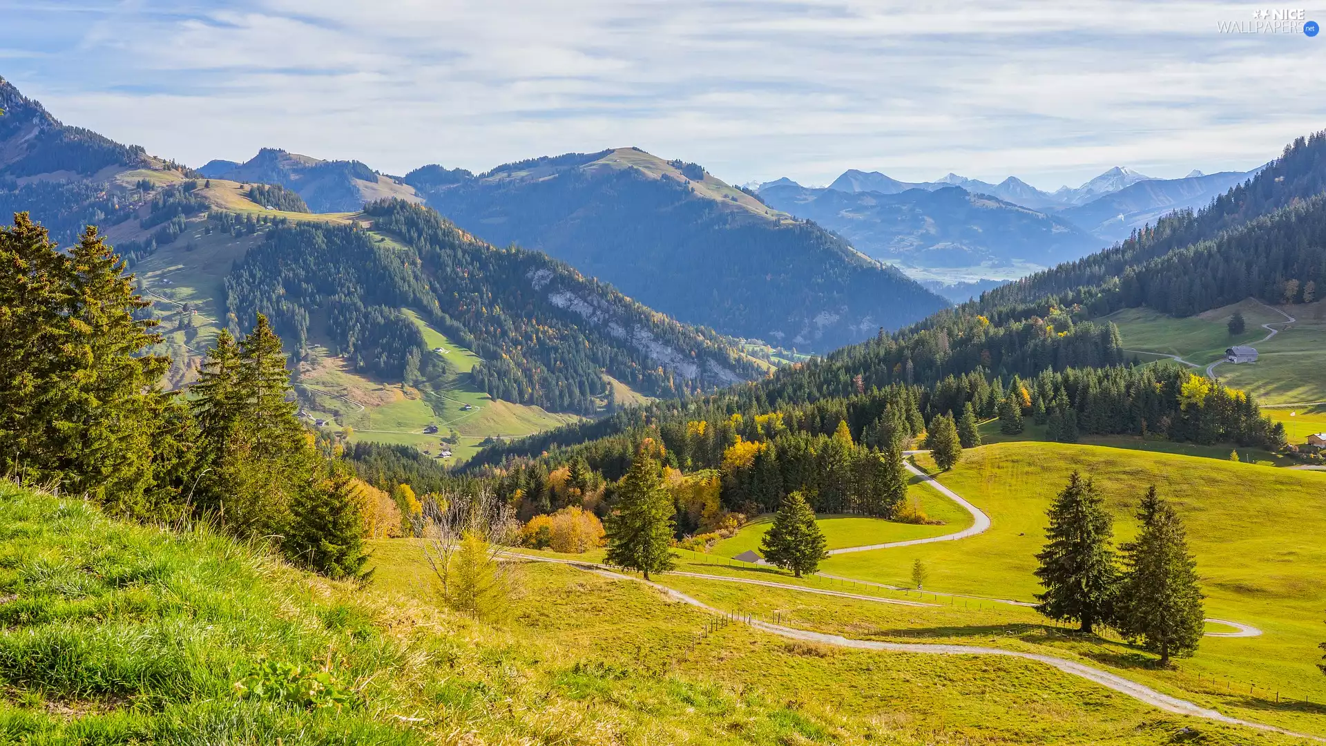 viewes, Way, The Hills, trees, Mountains, Meadow, Switzerland