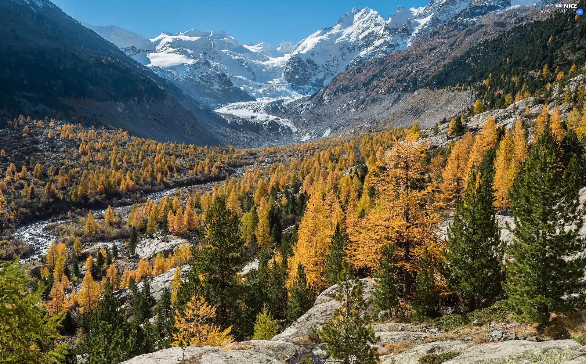 Mountains, autumn, rocks, Yellow, Canton Graubunden, Switzerland, viewes, Morteratschgletscher Glacier, trees