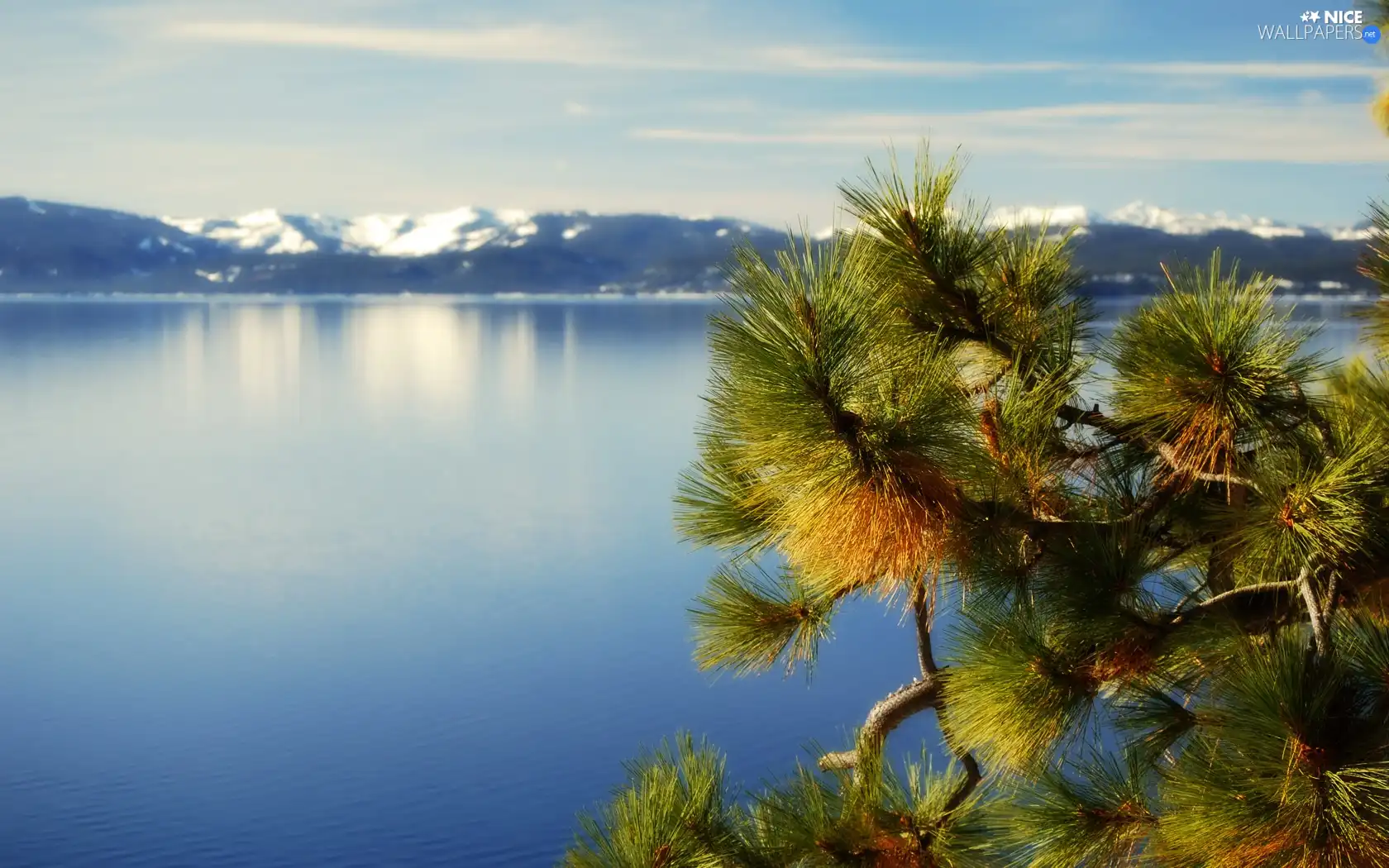 Tahoe, California, Mountains, twig, lake