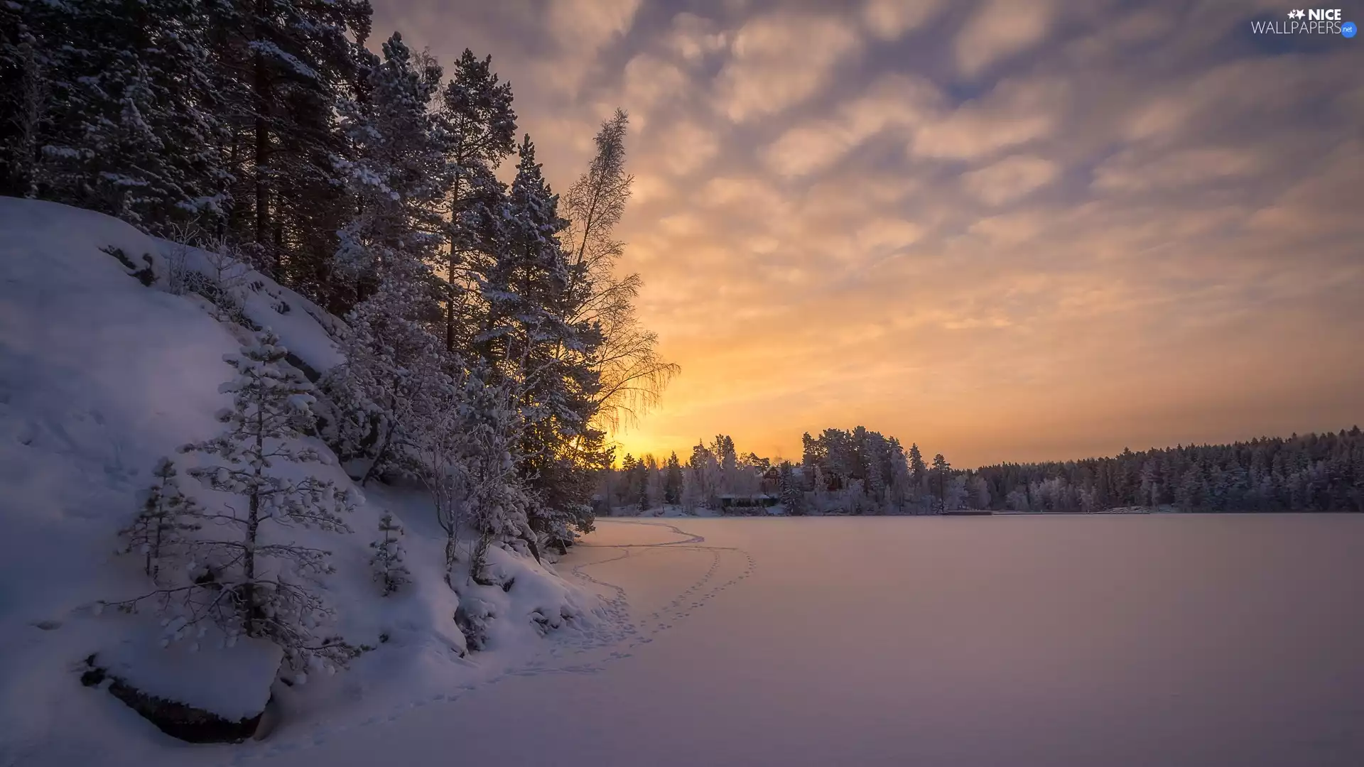 Sunrise, traces, viewes, Pirkanmaa Region, Houses, forest, Tampere, winter, frozen, Finland, dawn, trees, Näsijärvi Lake