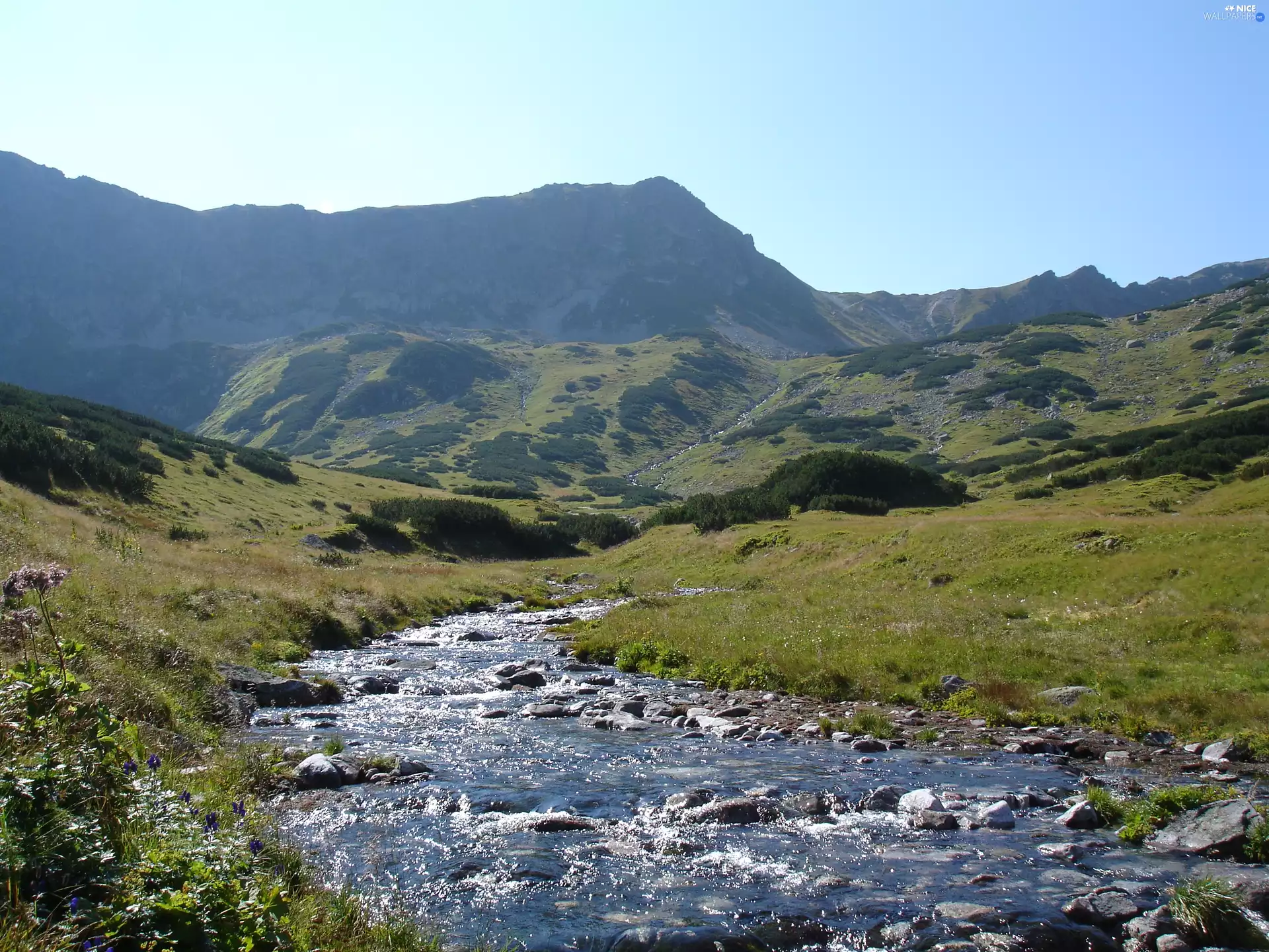 Tatras, View, an