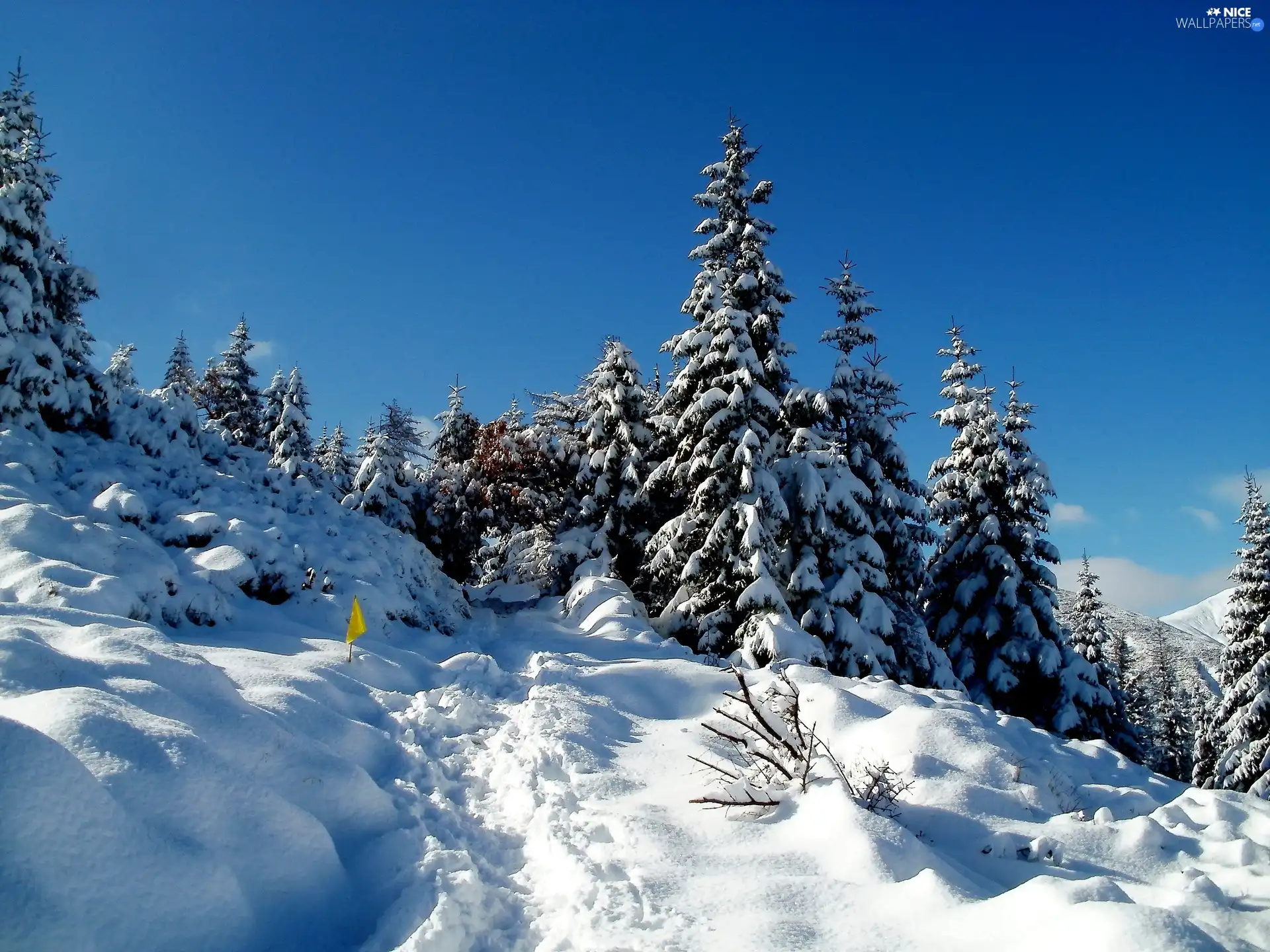 Tatras, Mountains, winter
