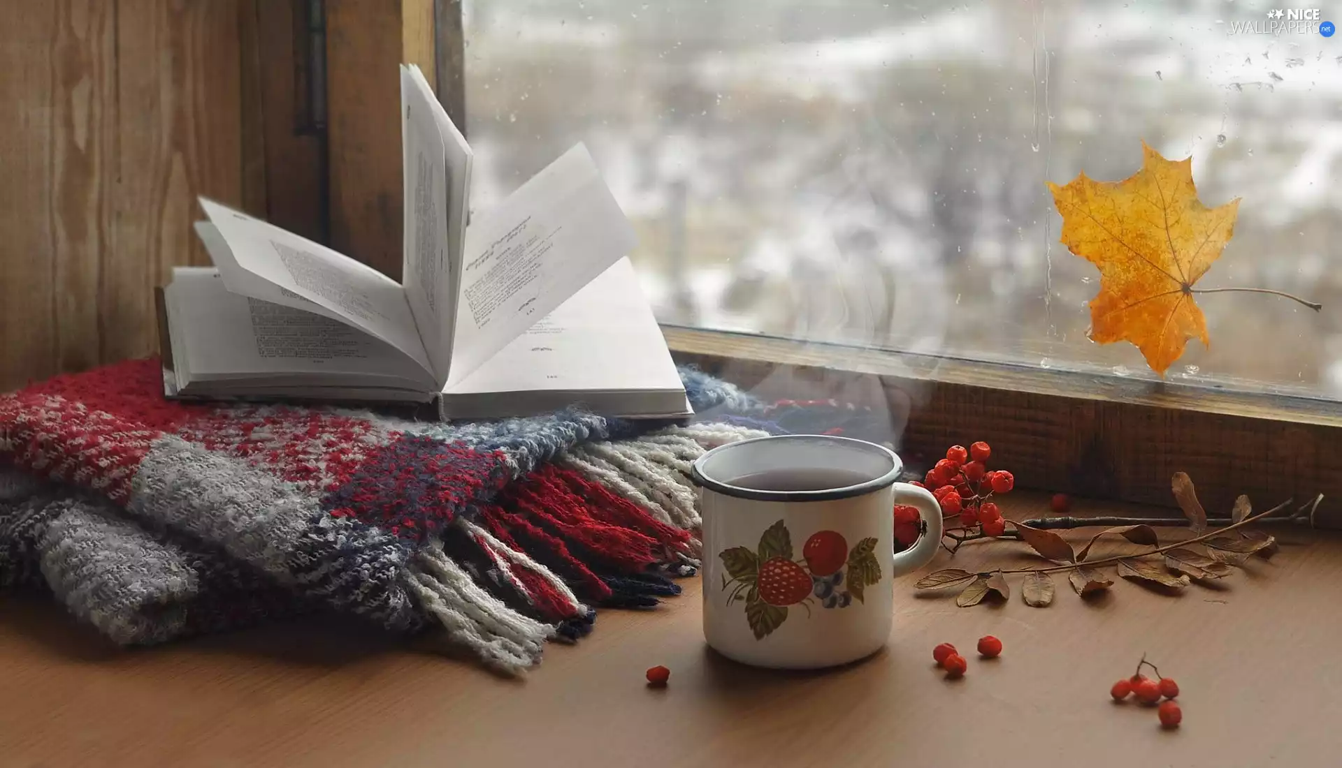 Book, coverlet, leaves, mug, Plant, drops, Window, tea