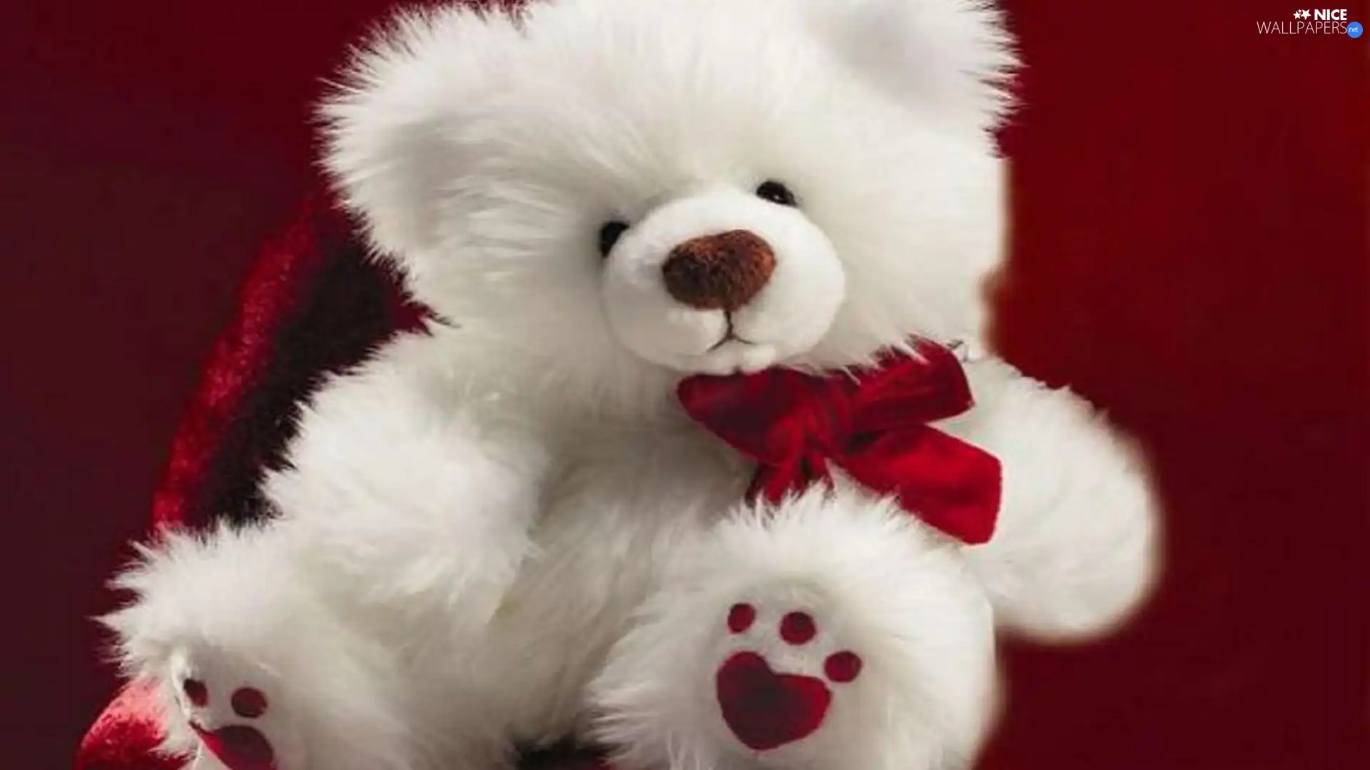 bow, White, teddy bear