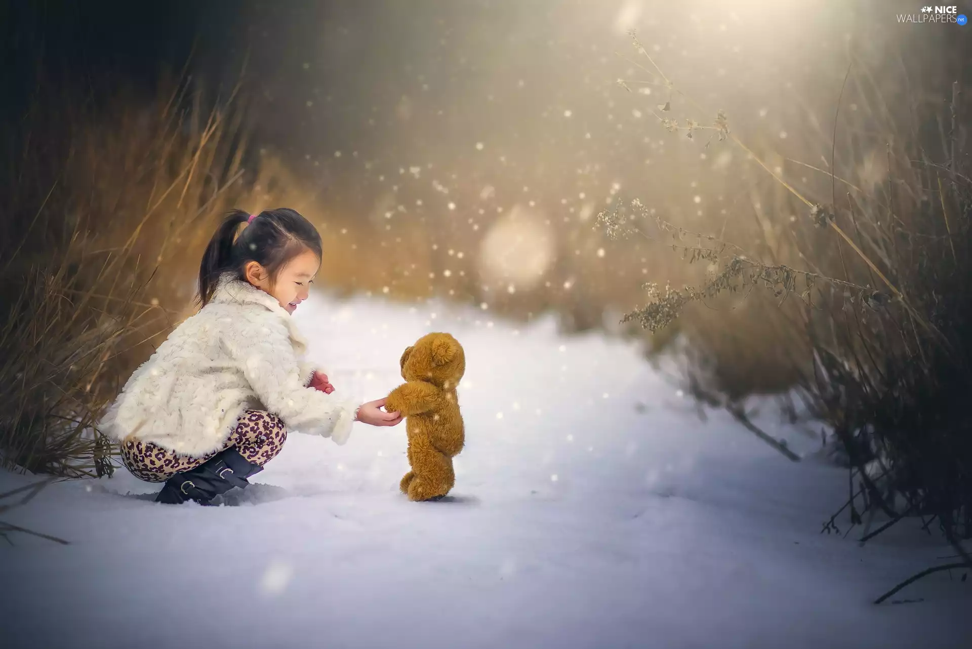 winter, snow, Plush, teddy bear, girl