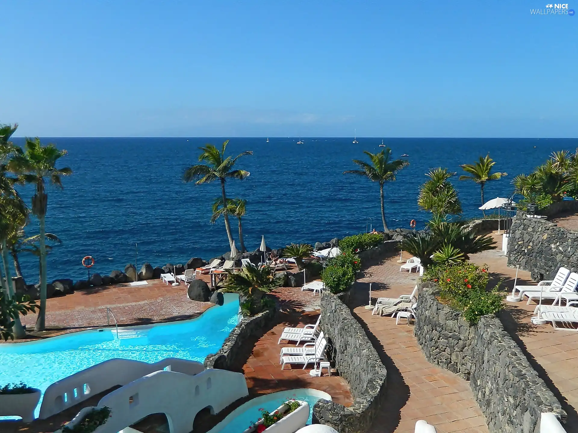 Ocean, Palms, Tenerife, terrace