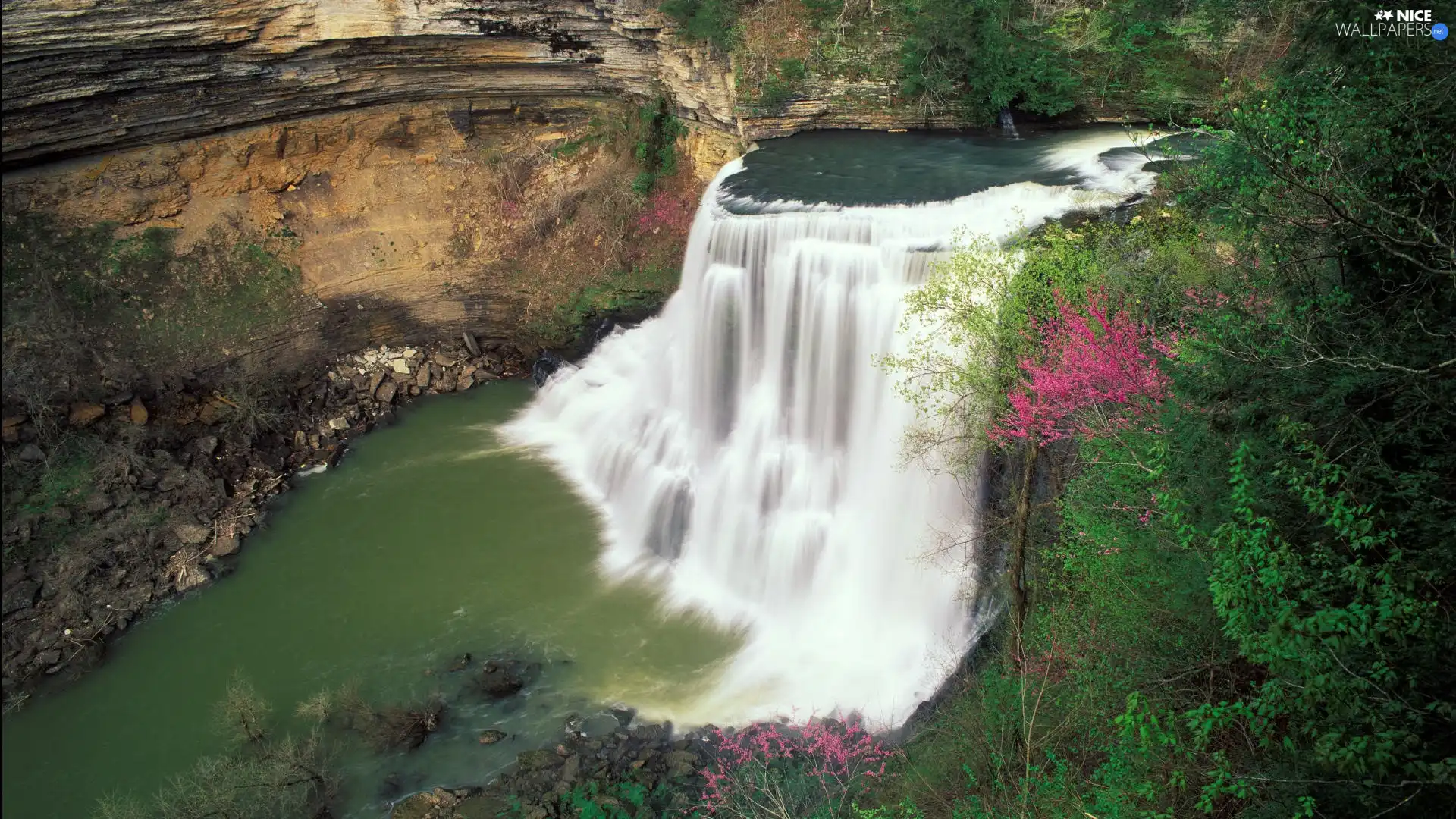 waterfall, Burgess, Tennessee, scrub