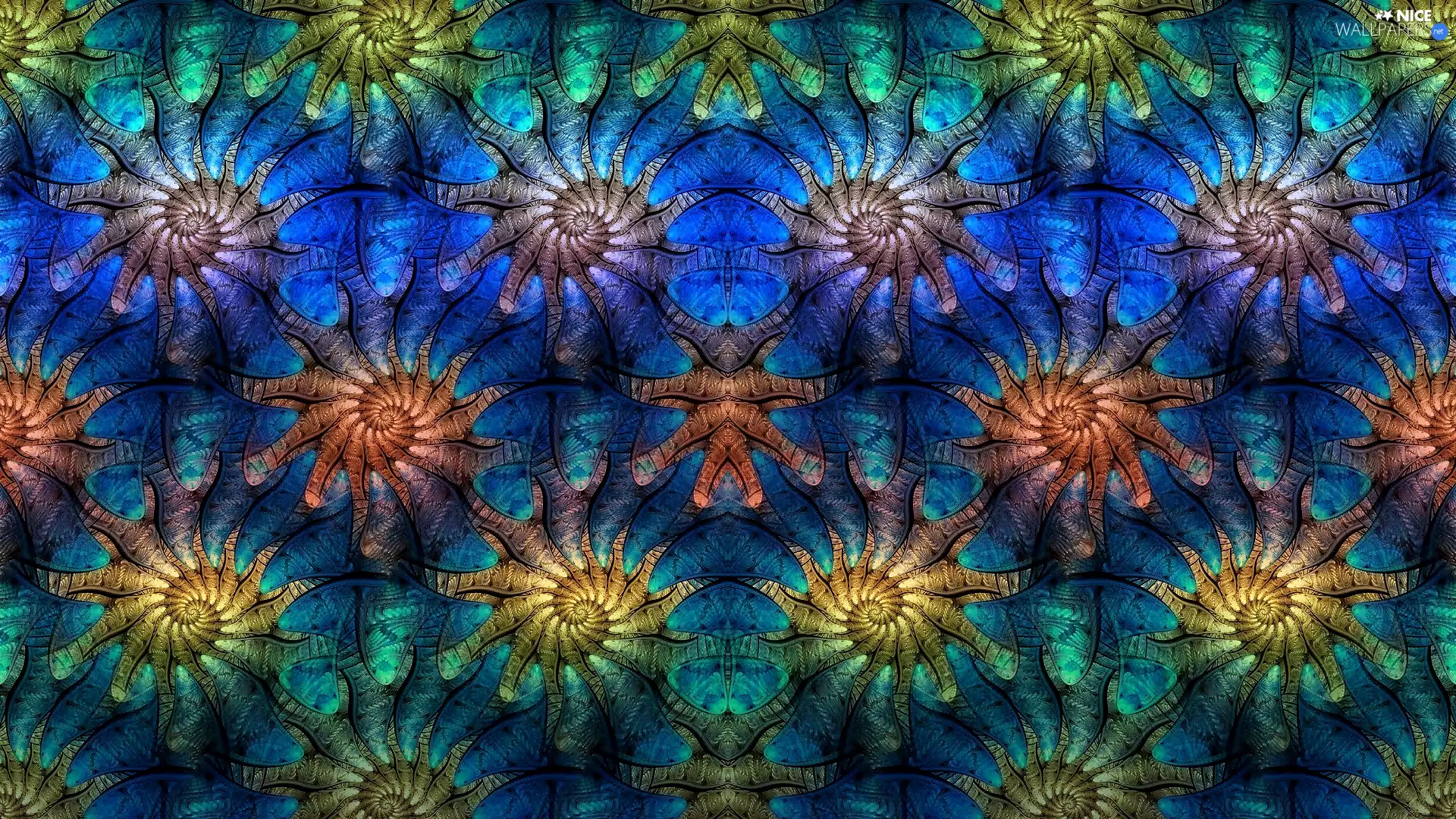 texture, Shells, color