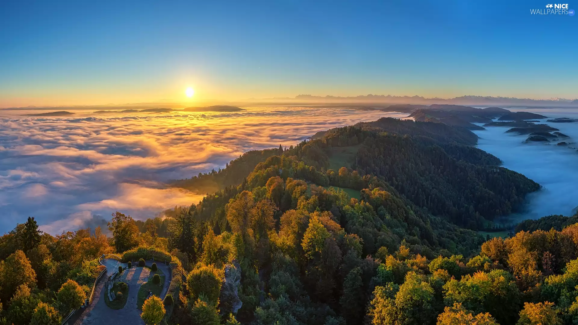 trees, viewes, Sunrise, The Hills, Fog