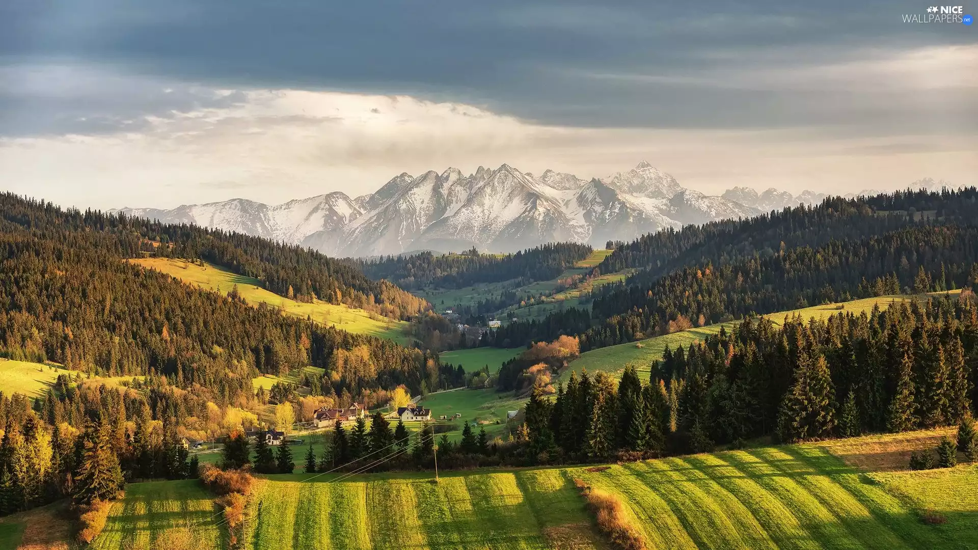 The Hills, Polish Spiš, field, Tatry Mountains, Poland, forest, Sky