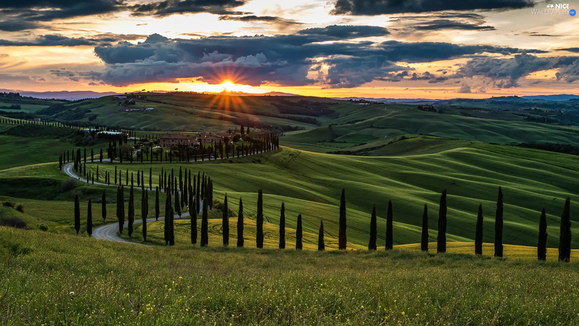 Way, Tuscany, trees, Sunrise, viewes, Italy, The Hills, clouds, cypresses, Houses