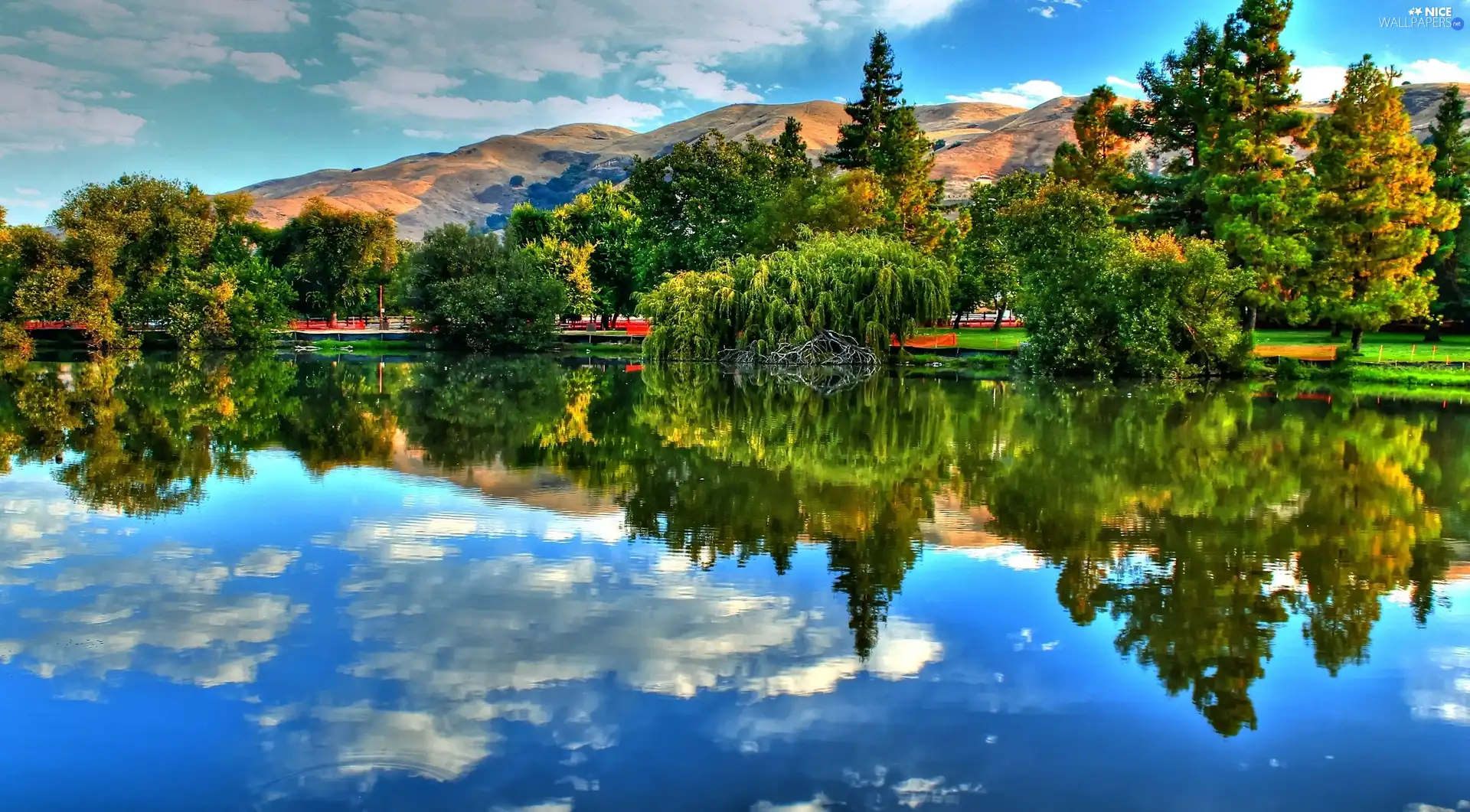 lake, viewes, The Hills, trees