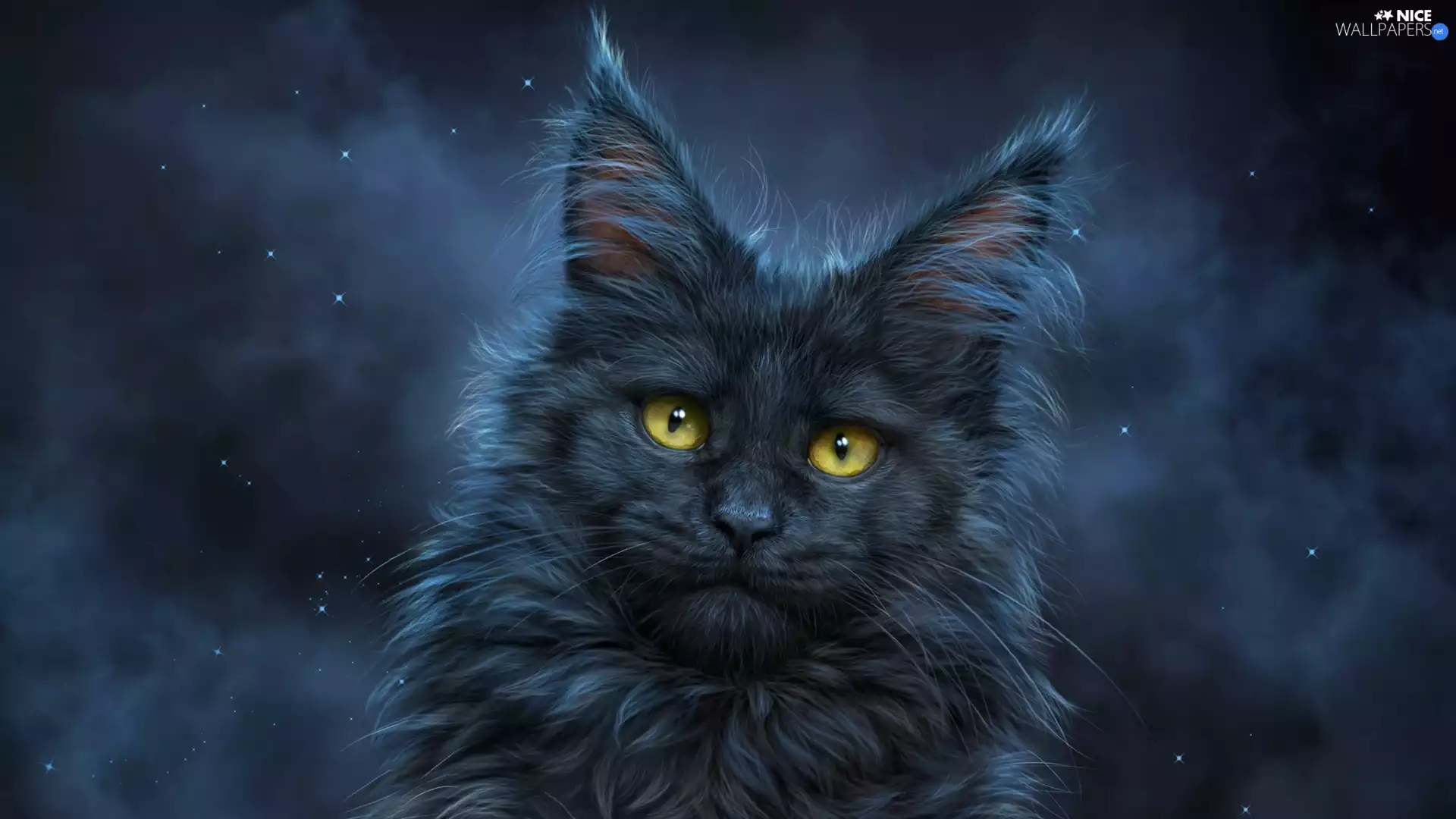 Yellow, Eyes, cat, The look, Longhaired