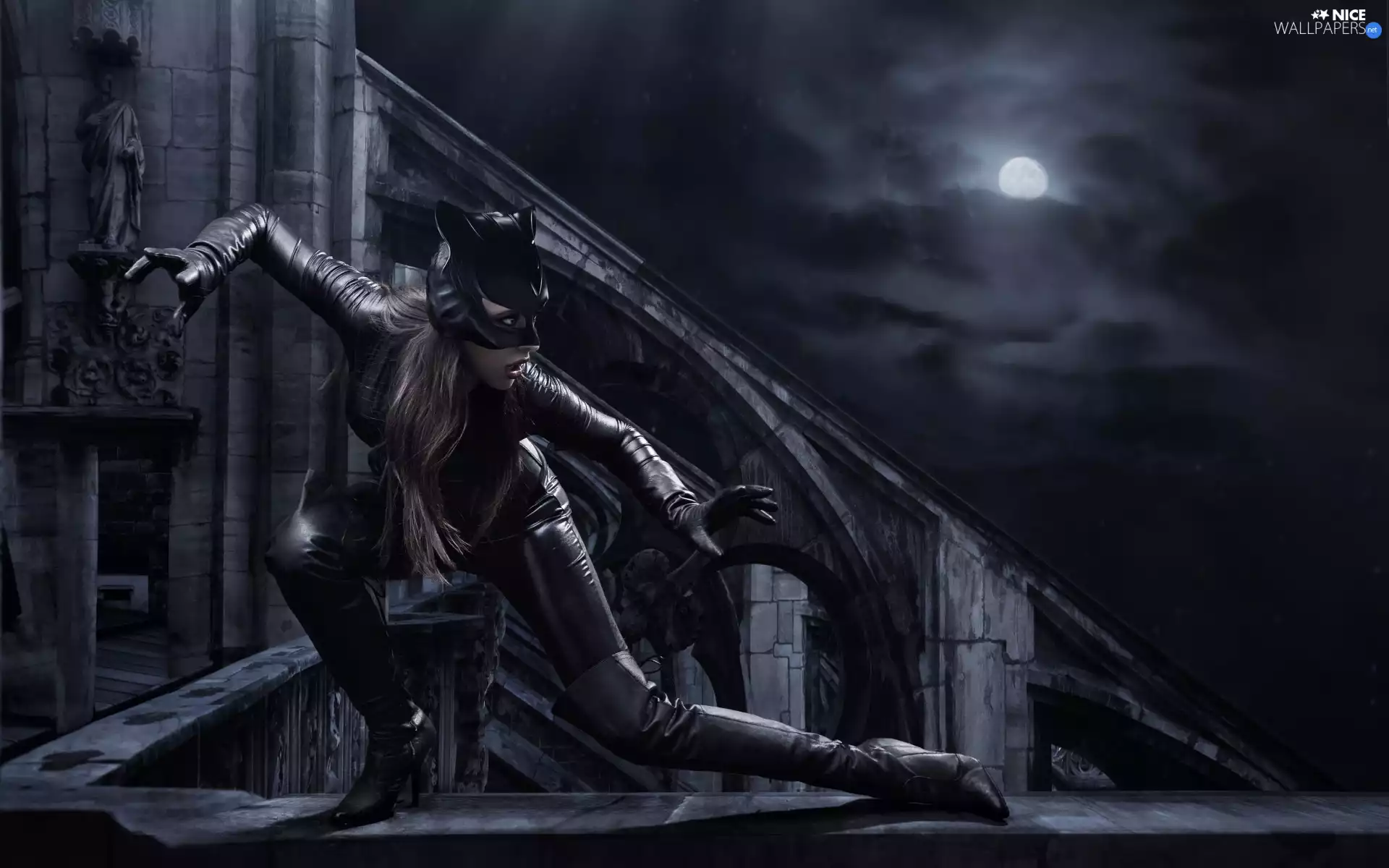Night, moon, Catwoman, the roof, lurking