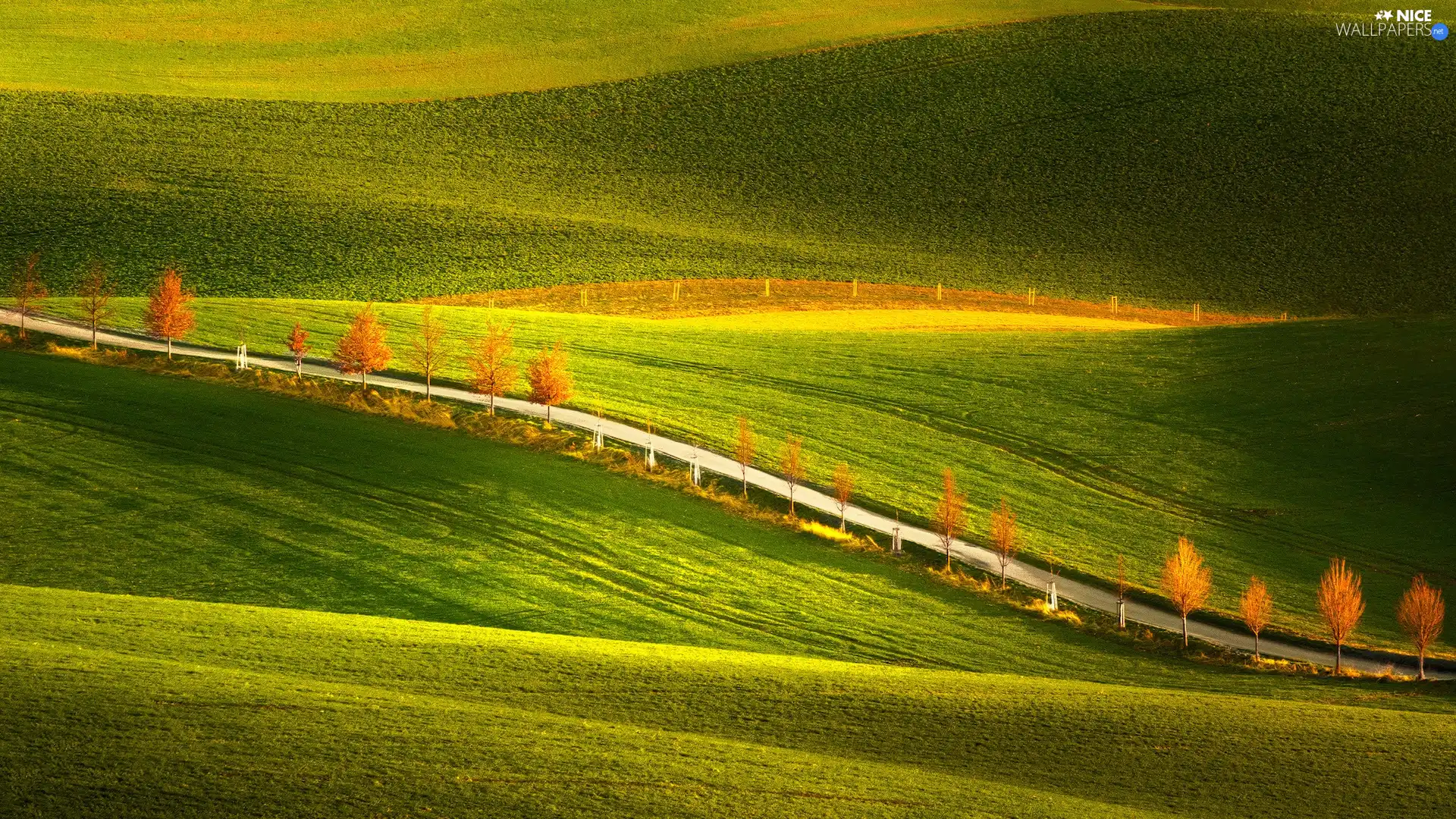 Czech Republic, field, The Hills, Moravia