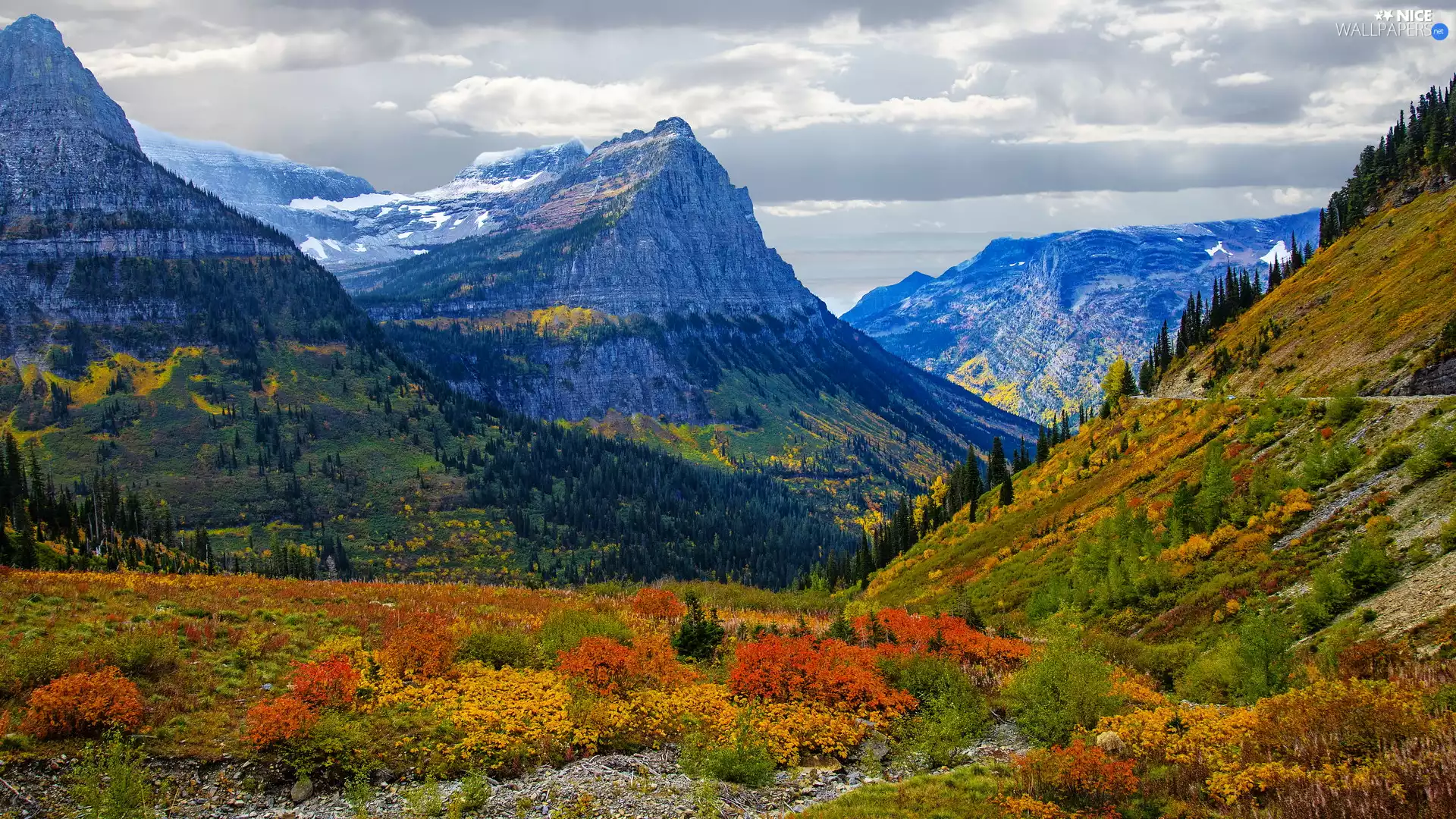 color, rocky mountains, Montana, autumn, Glacier National Park, Plants, The United States