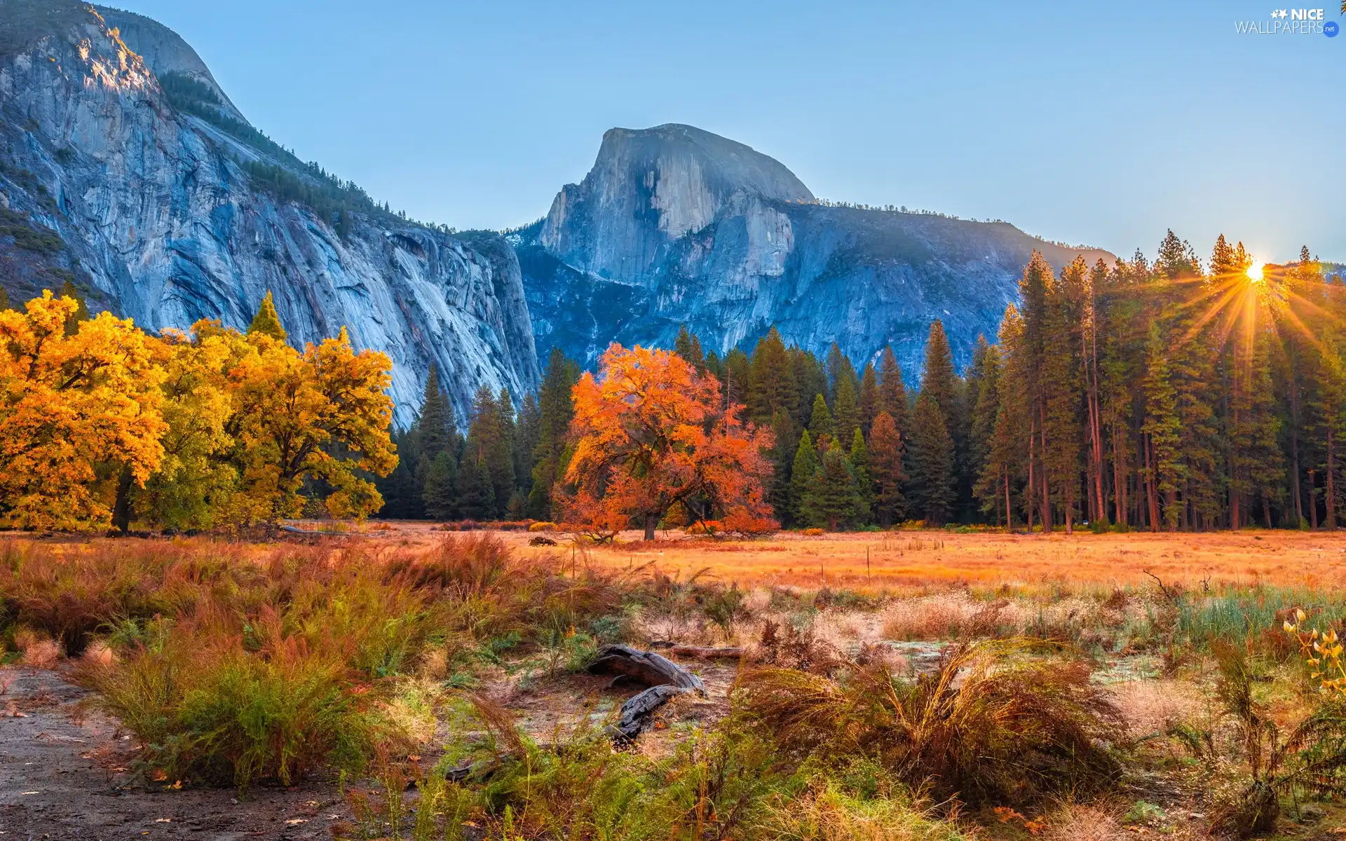 Half Dome, Yosemite National Park, viewes, trees, autumn, The United States, California, mountains, Mountains, rays of the Sun, forest