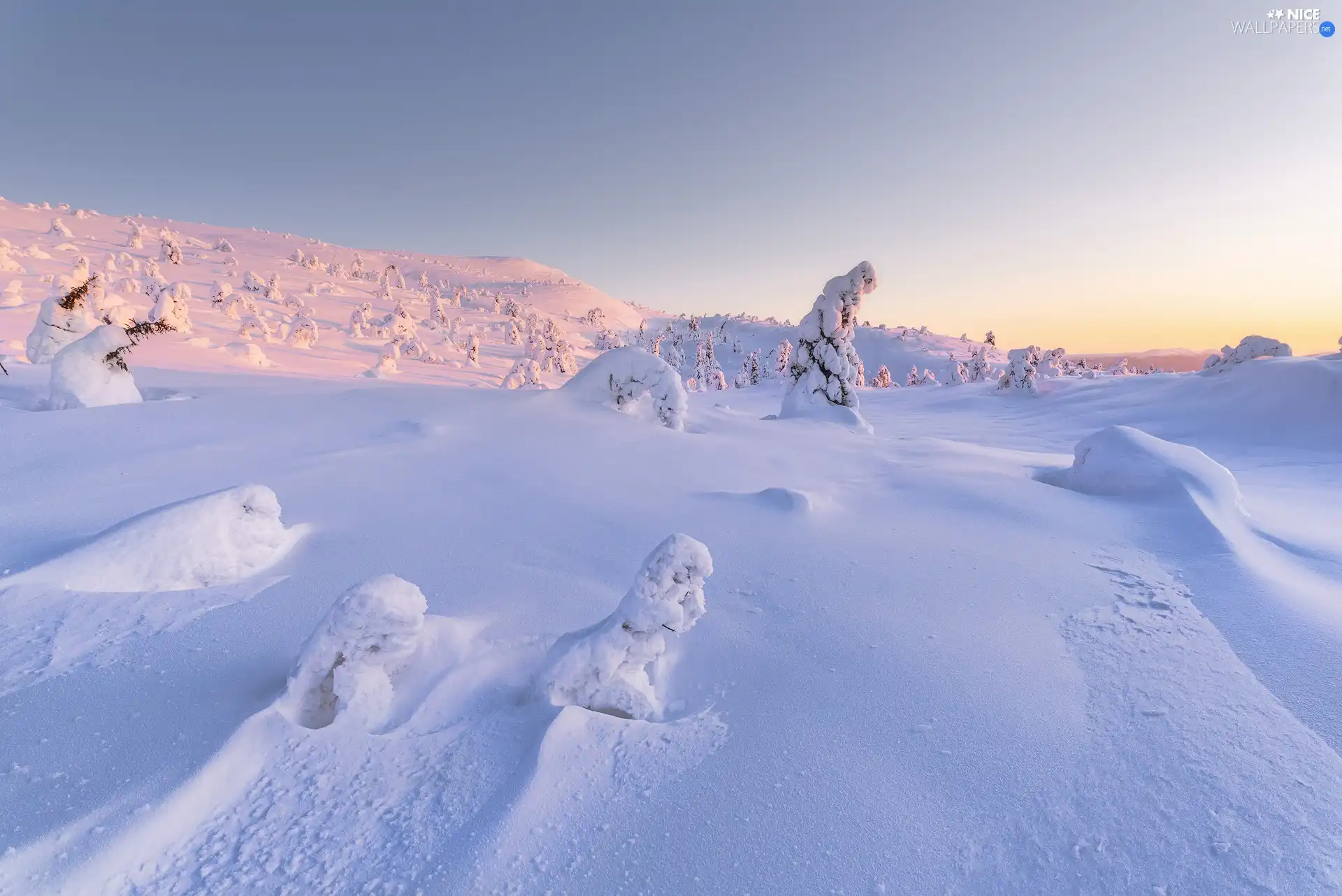 trees, winter, Mountains, The Hills, viewes, snowy
