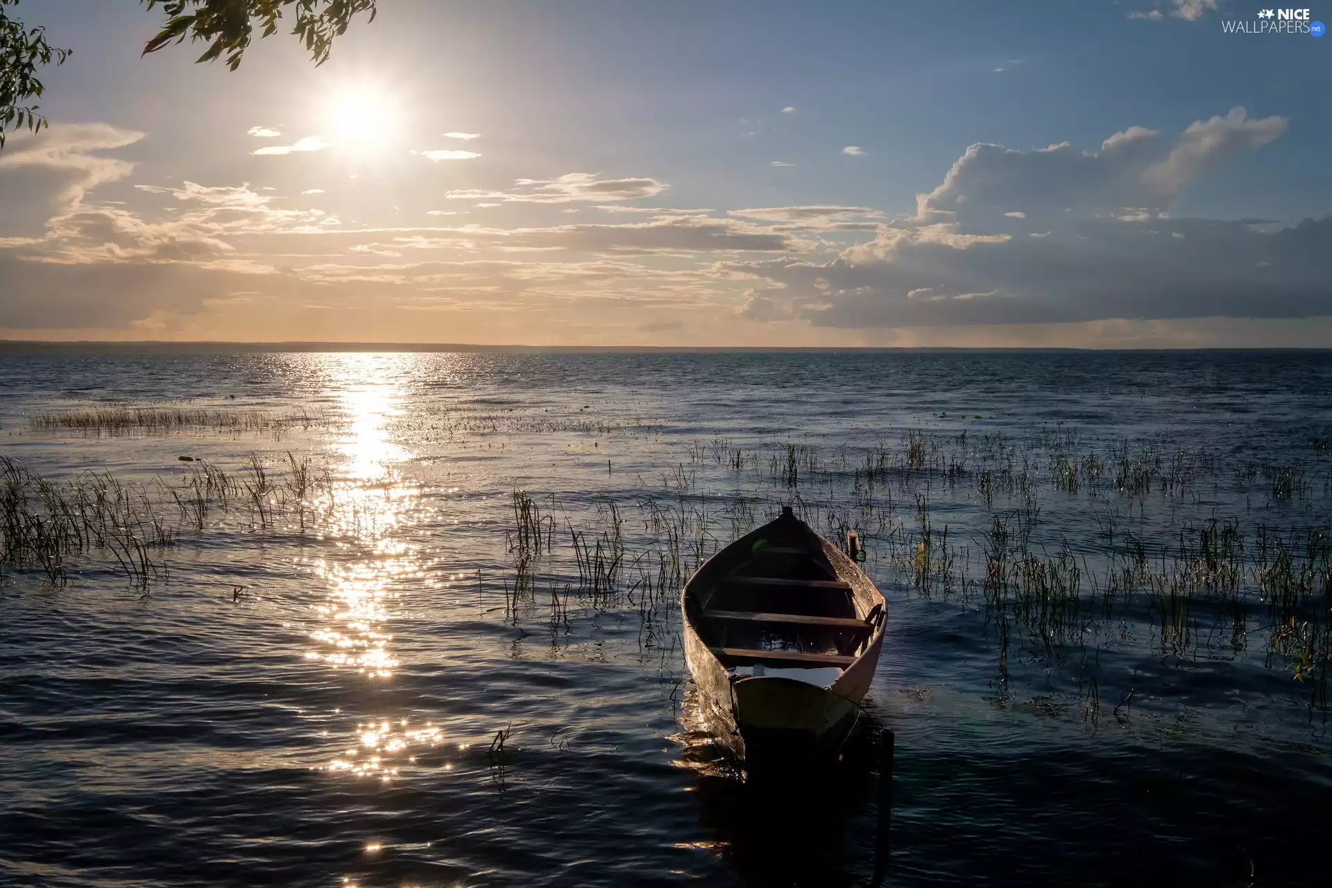 lake, rays of the Sun, grass, Boat