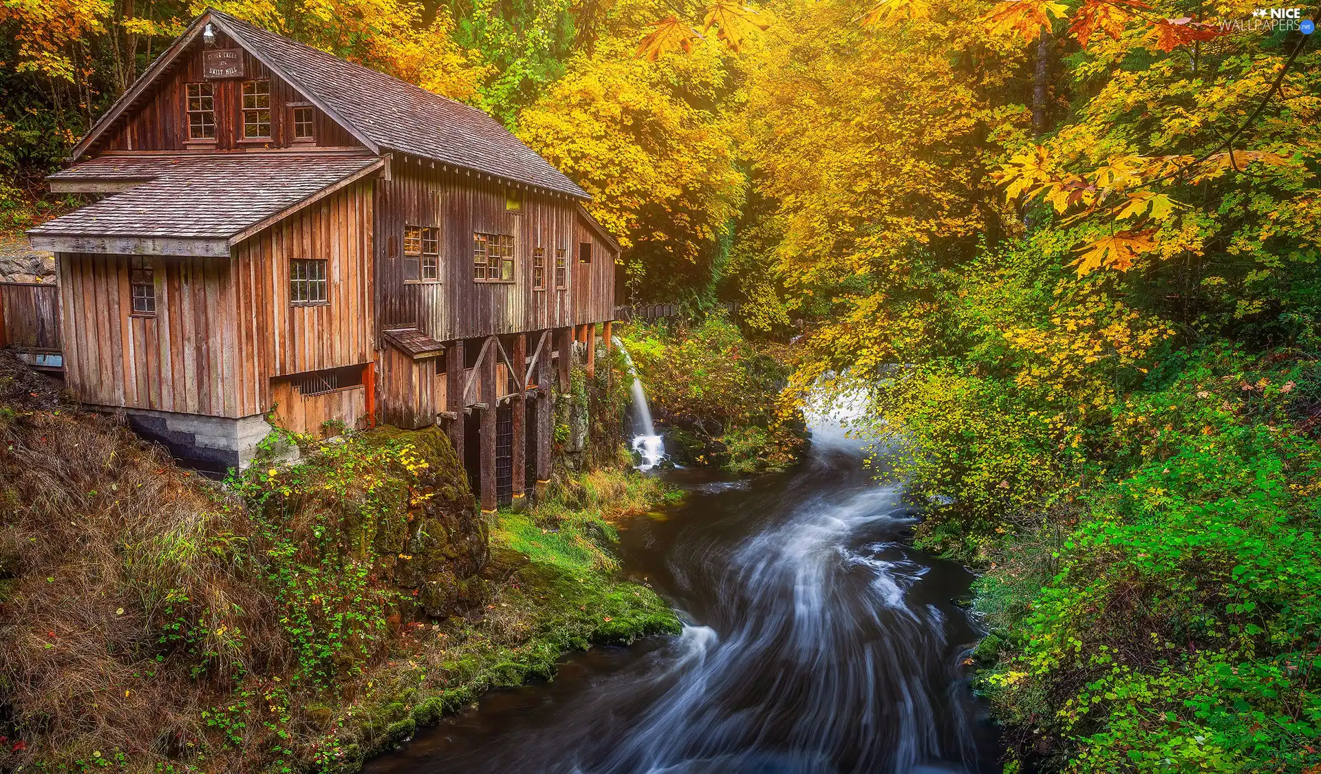 forest, autumn, trees, viewes, Washington State, The United States, River, Cedar Creek Mill Grist Mill, waterfall