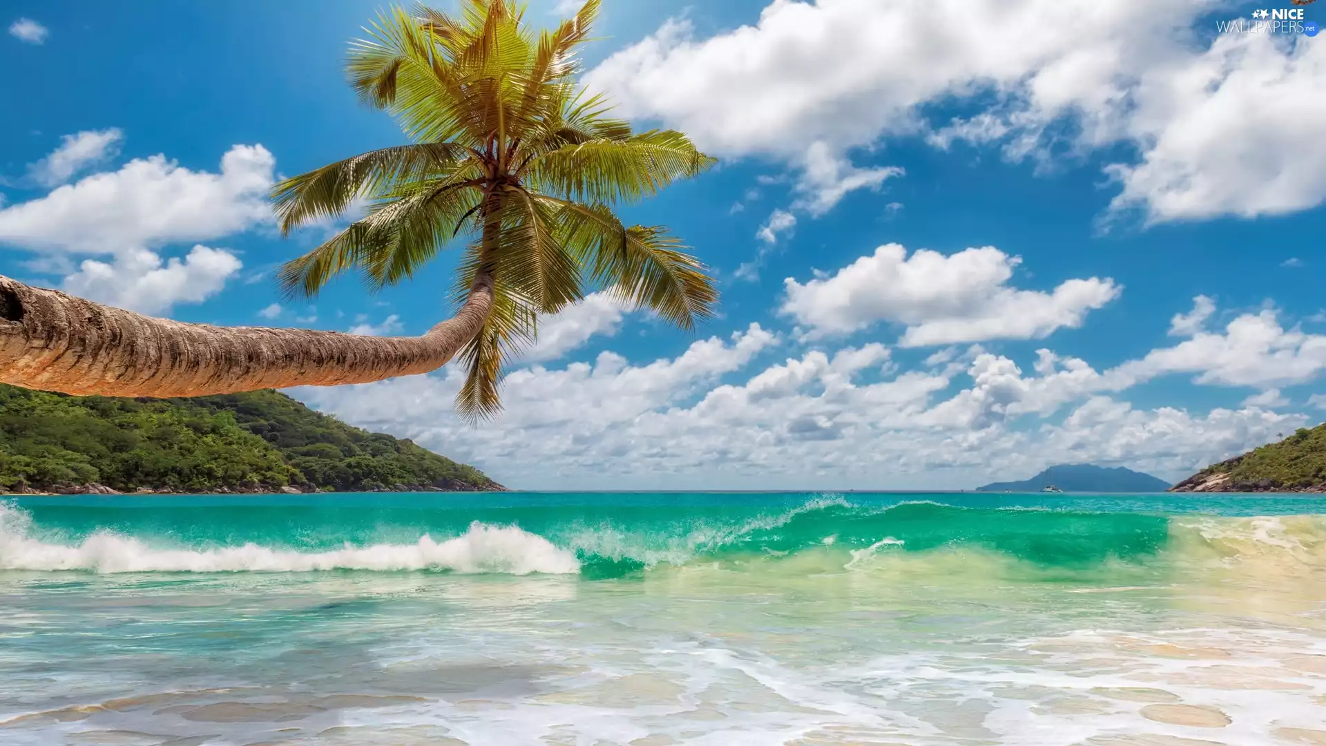 Palm, clouds, Waves, The Hills, sea