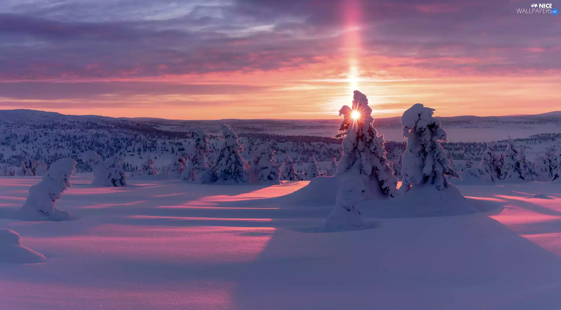 The Hills, snow, trees, rays of the Sun, winter, Snowy, viewes