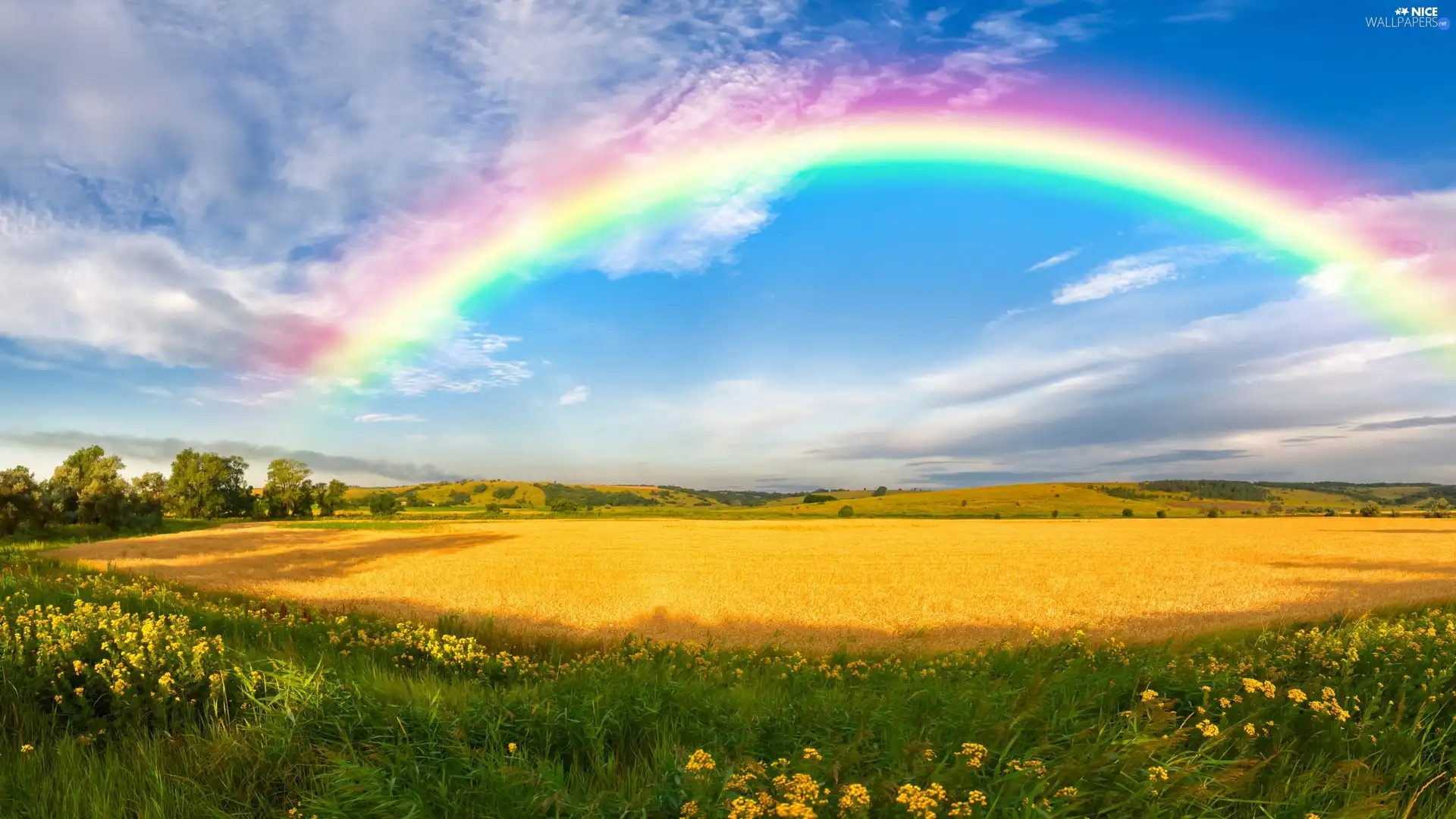 trees, viewes, field, The Hills, Great Rainbows