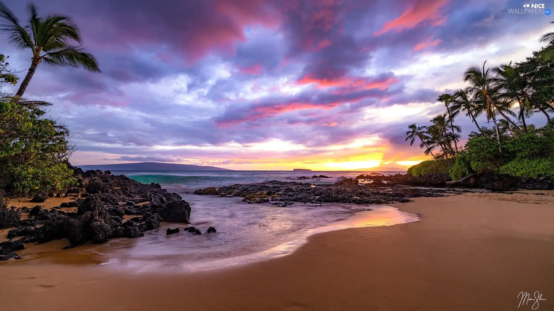 sea, Aloha State Hawaje, Palms, Maui, The United States, Beaches, rocks