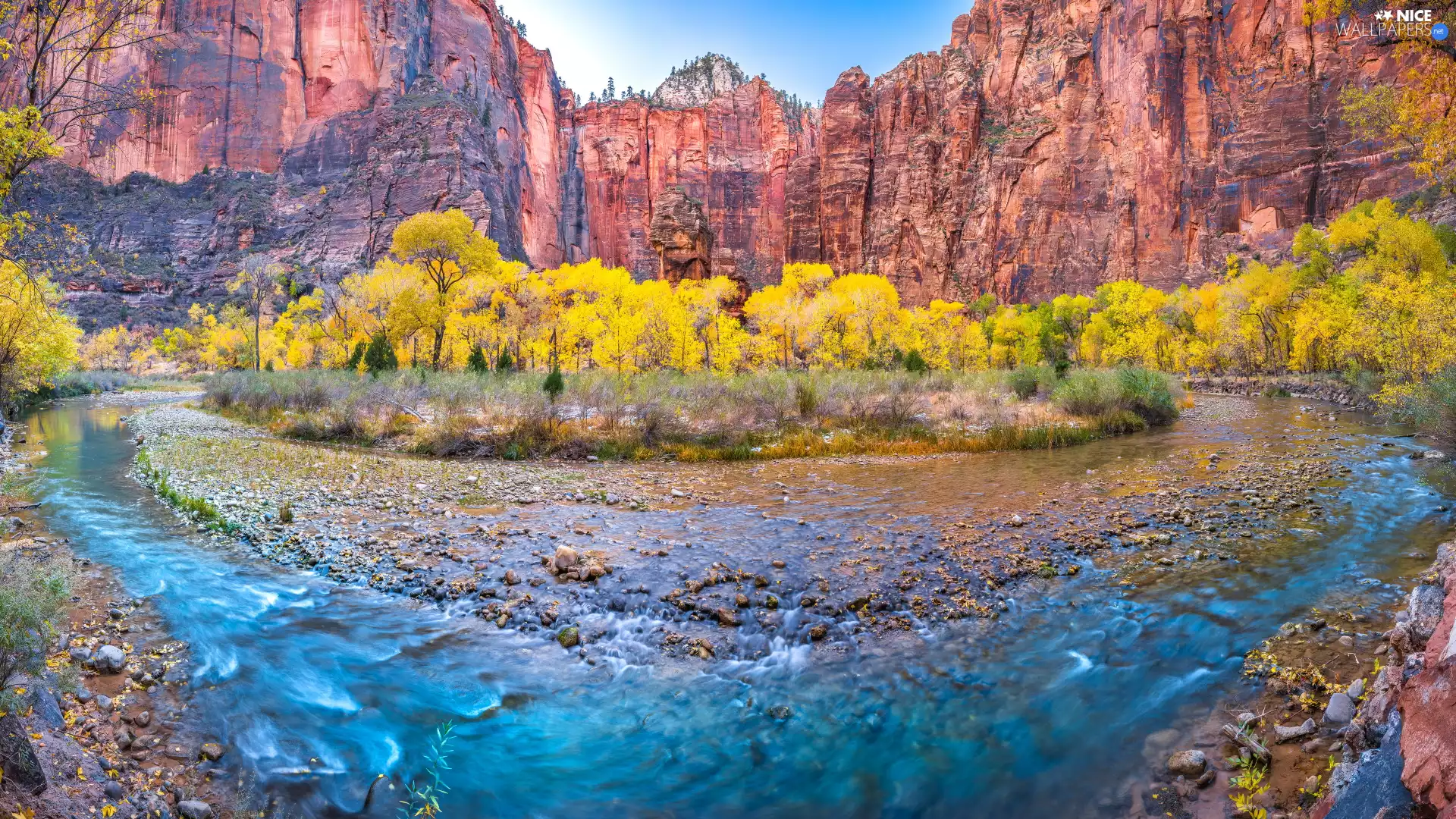 viewes, rocks, Utah State, trees, Zion National Park, River, The United States