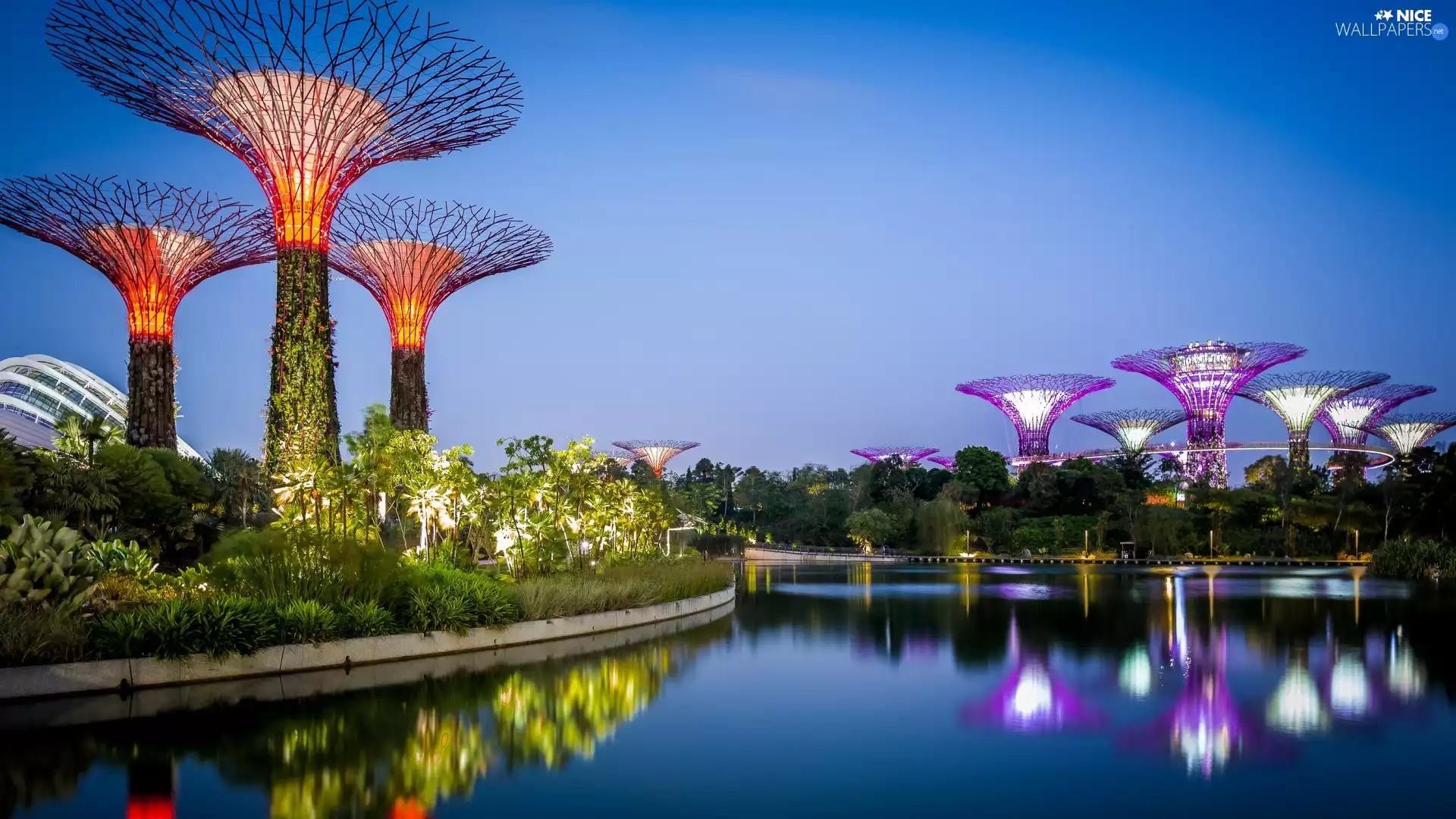 Bushes, Gardens by the Bay, light, viewes, evening, Singapur, water, reflection, trees, Gulf